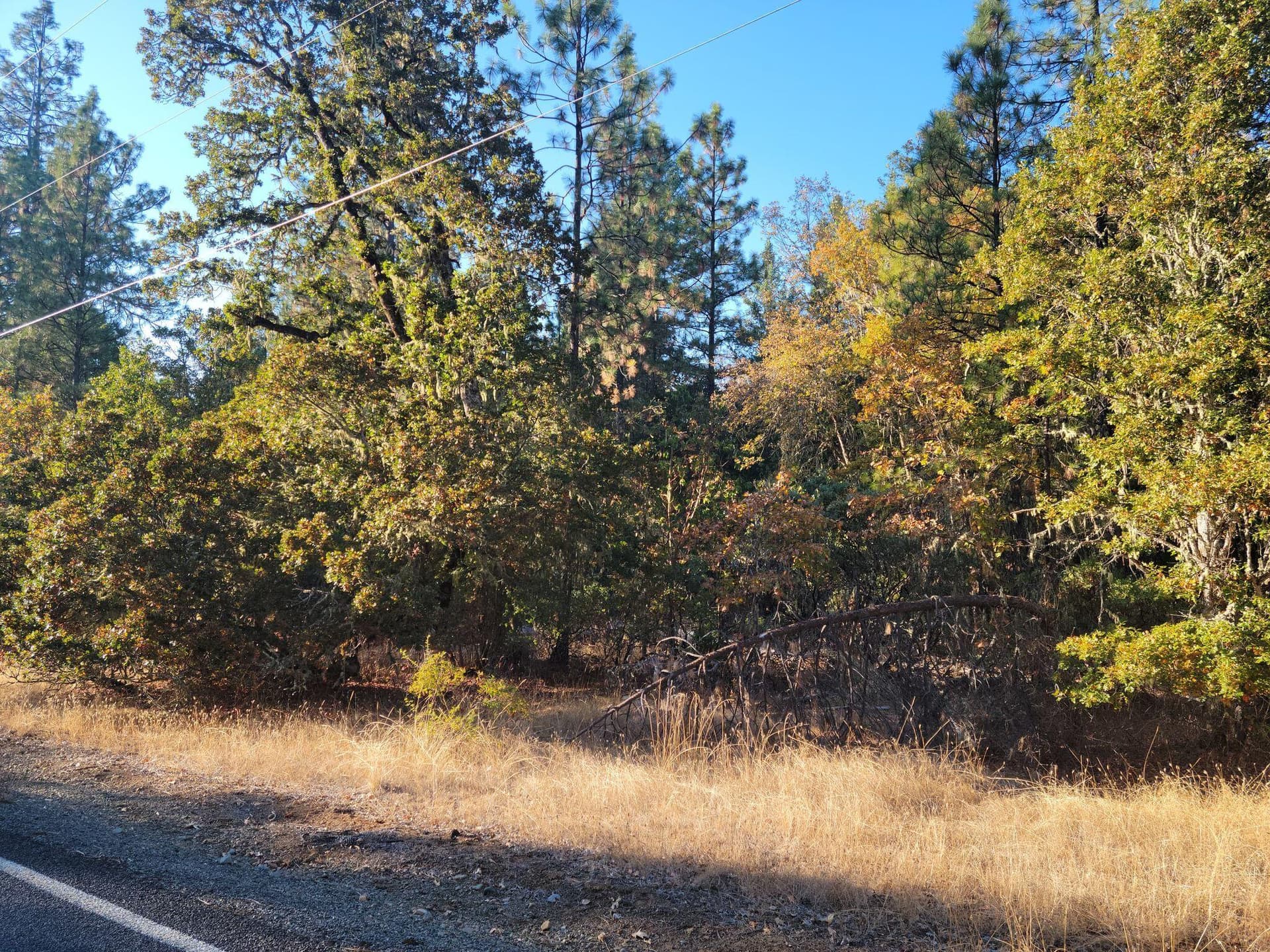 Garner 3. Photo 2 of 4, 109 Garner Road, Cave Junction, OR 97523