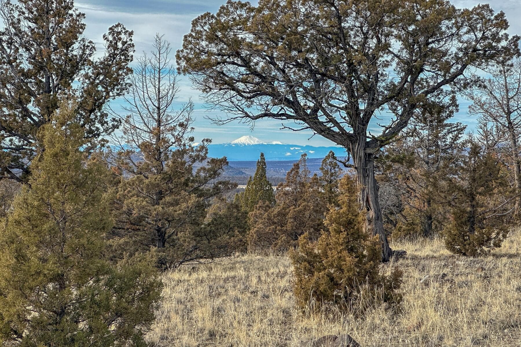 batch_02. Photo 2 of 13, 12229 SE Rowan Court, Prineville, OR 97754