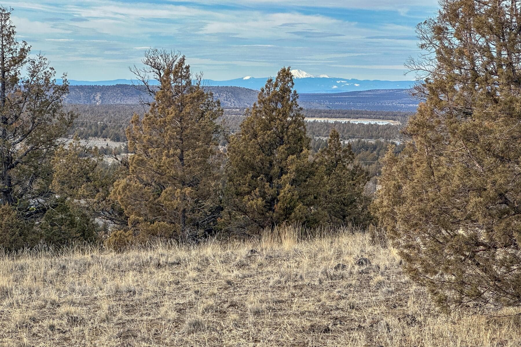 batch_04. Photo 4 of 13, 12229 SE Rowan Court, Prineville, OR 97754