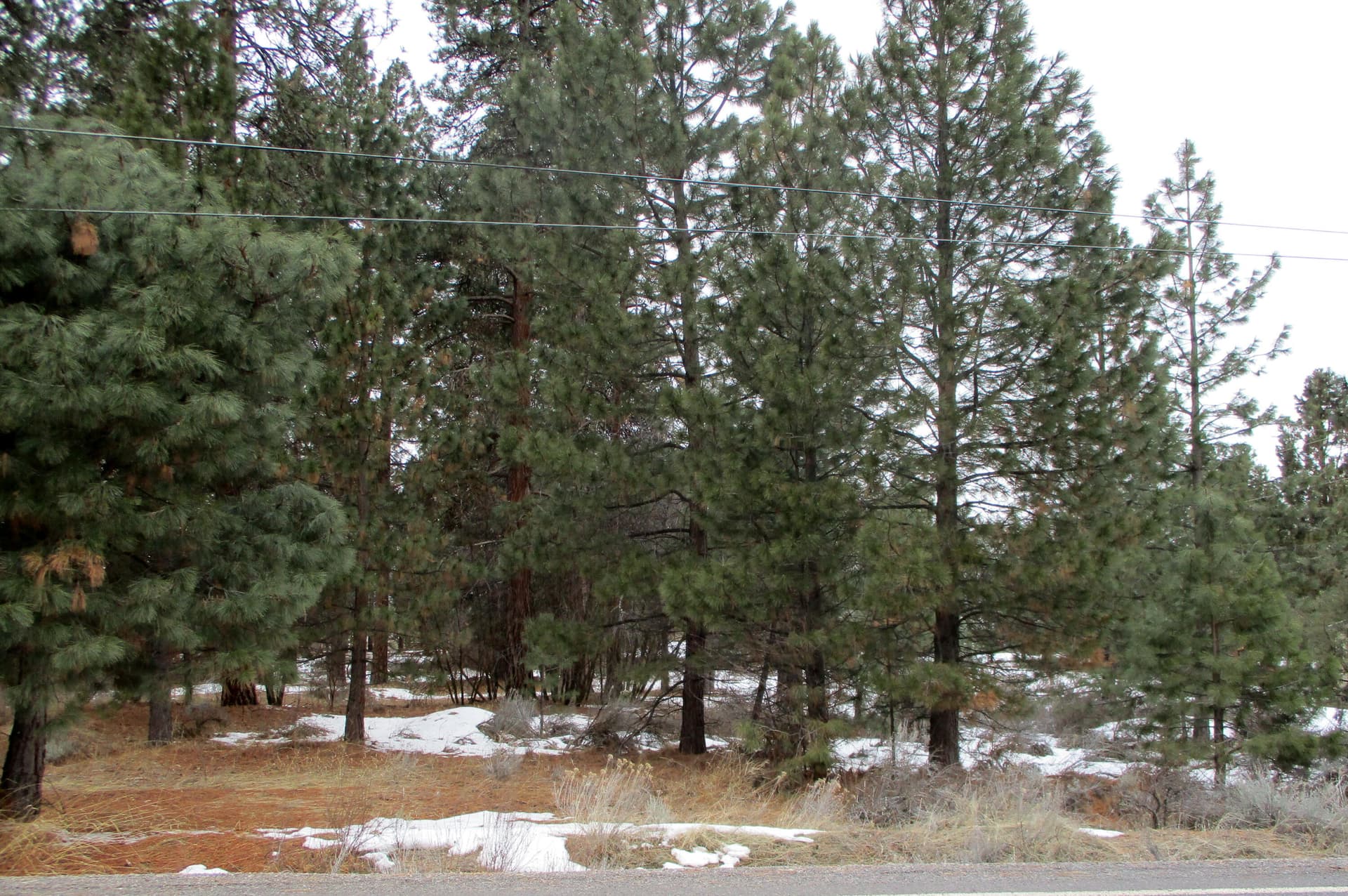 Cayuse Circle. Photo 1 of 9, 3525 Cayuse Circle, Chiloquin, OR 97624
