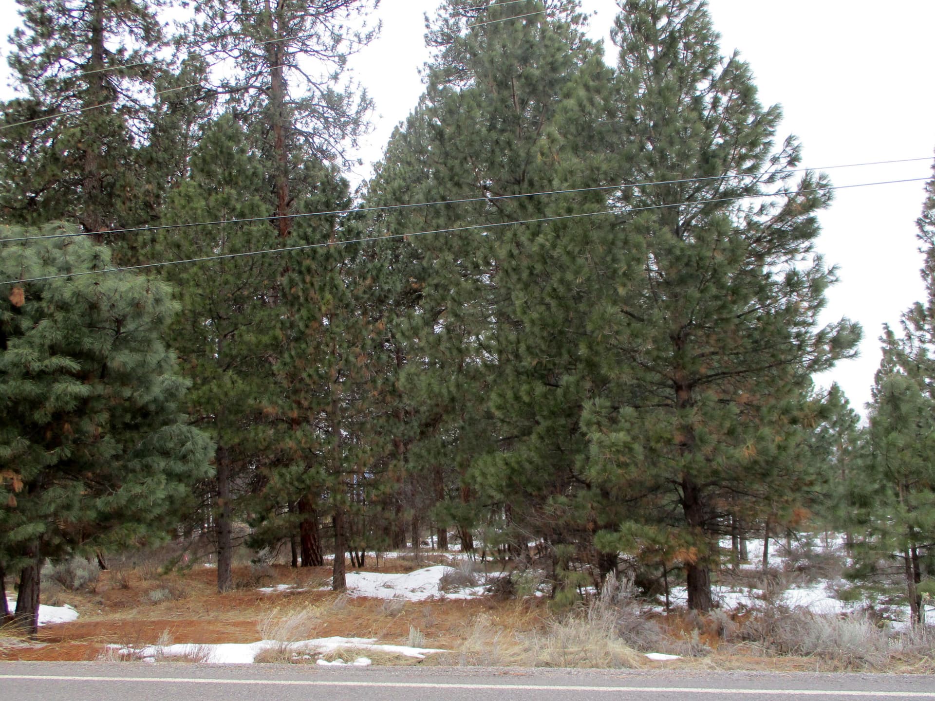 IMG_0177. Photo 2 of 9, 3525 Cayuse Circle, Chiloquin, OR 97624
