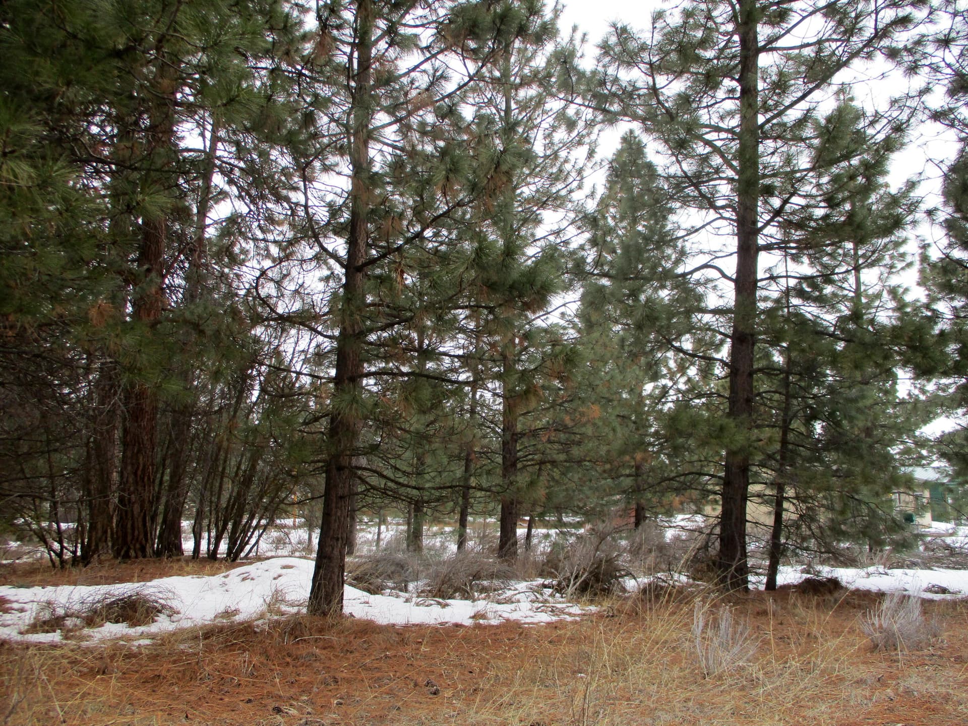 IMG_0181. Photo 5 of 9, 3525 Cayuse Circle, Chiloquin, OR 97624