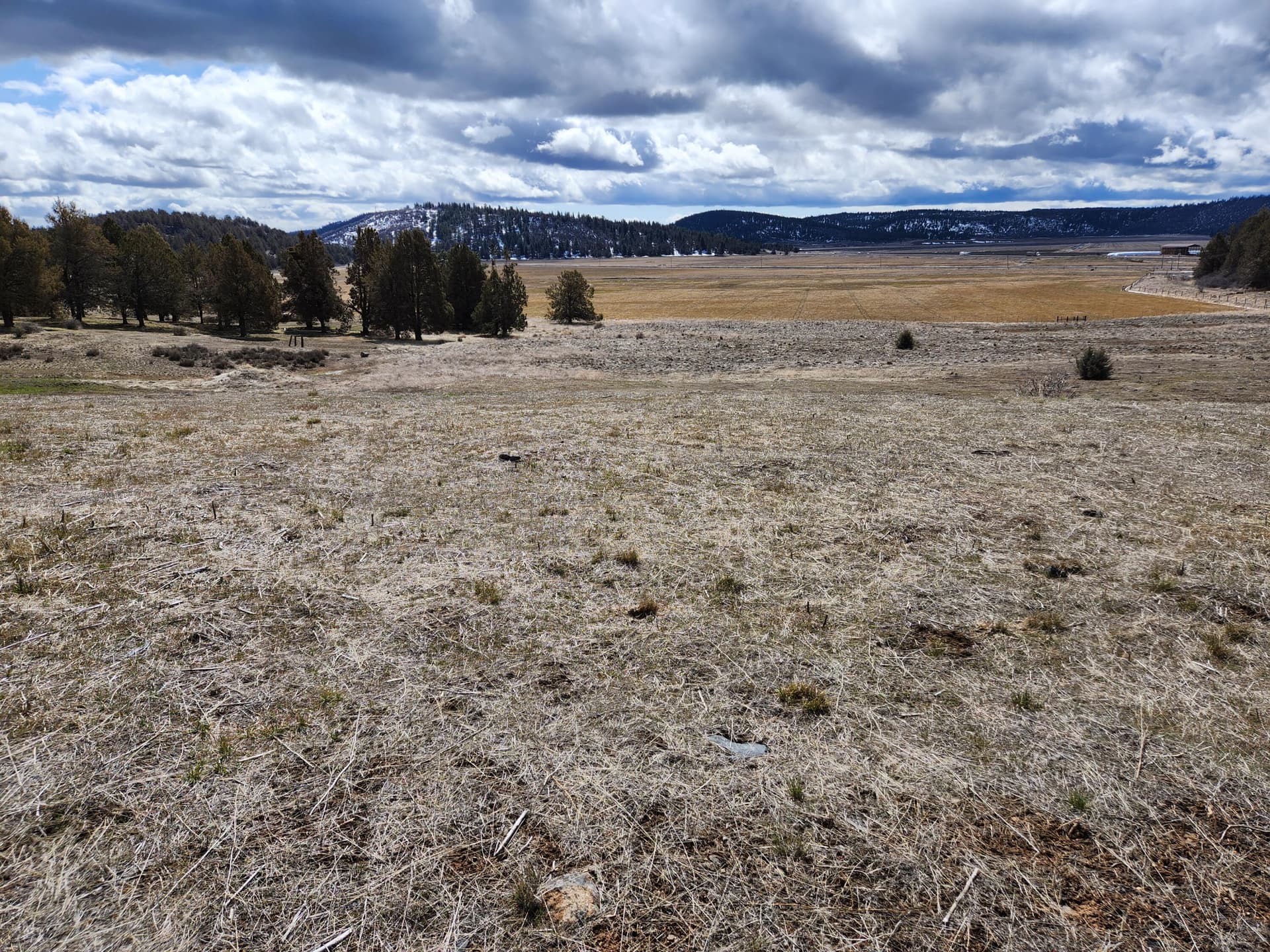 20230407_113323. Photo 1 of 12, Lot 1134 Murrelet Road, Klamath Falls, OR 97603