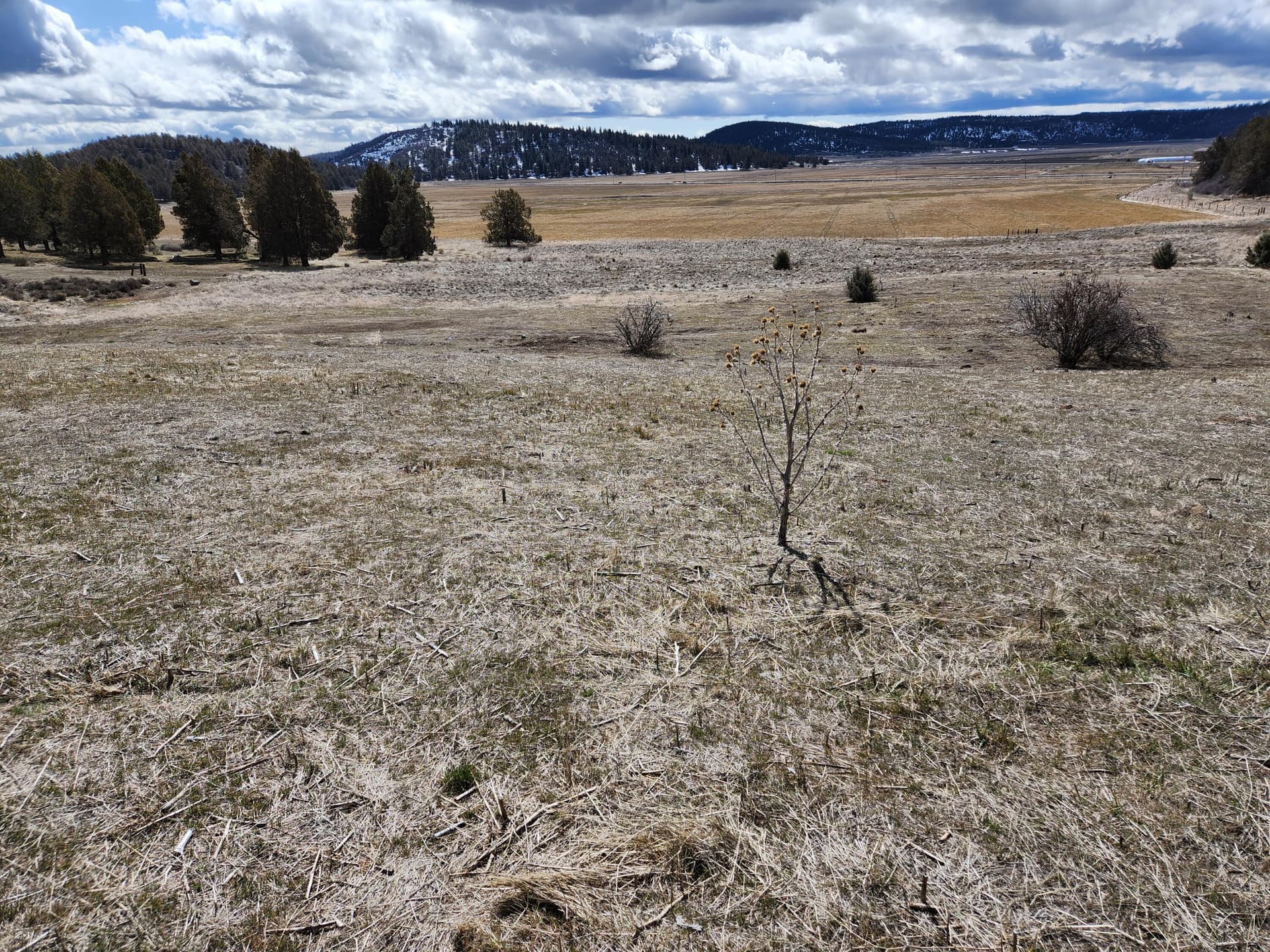 20230407_113138. Photo 5 of 12, Lot 1134 Murrelet Road, Klamath Falls, OR 97603