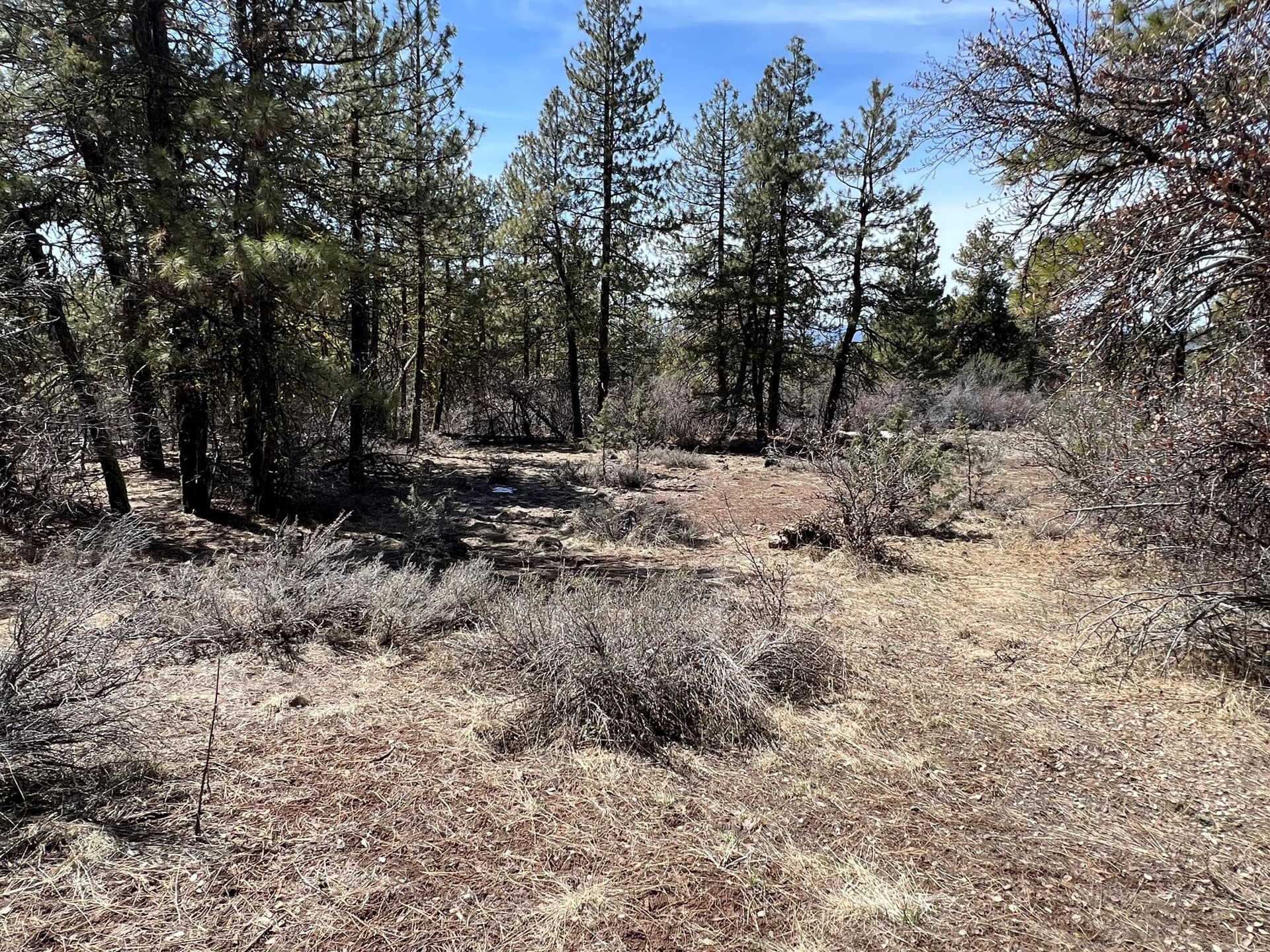 n2. Photo 2 of 7, Lot 19 Nighthawk Drive, Bonanza, OR 97623