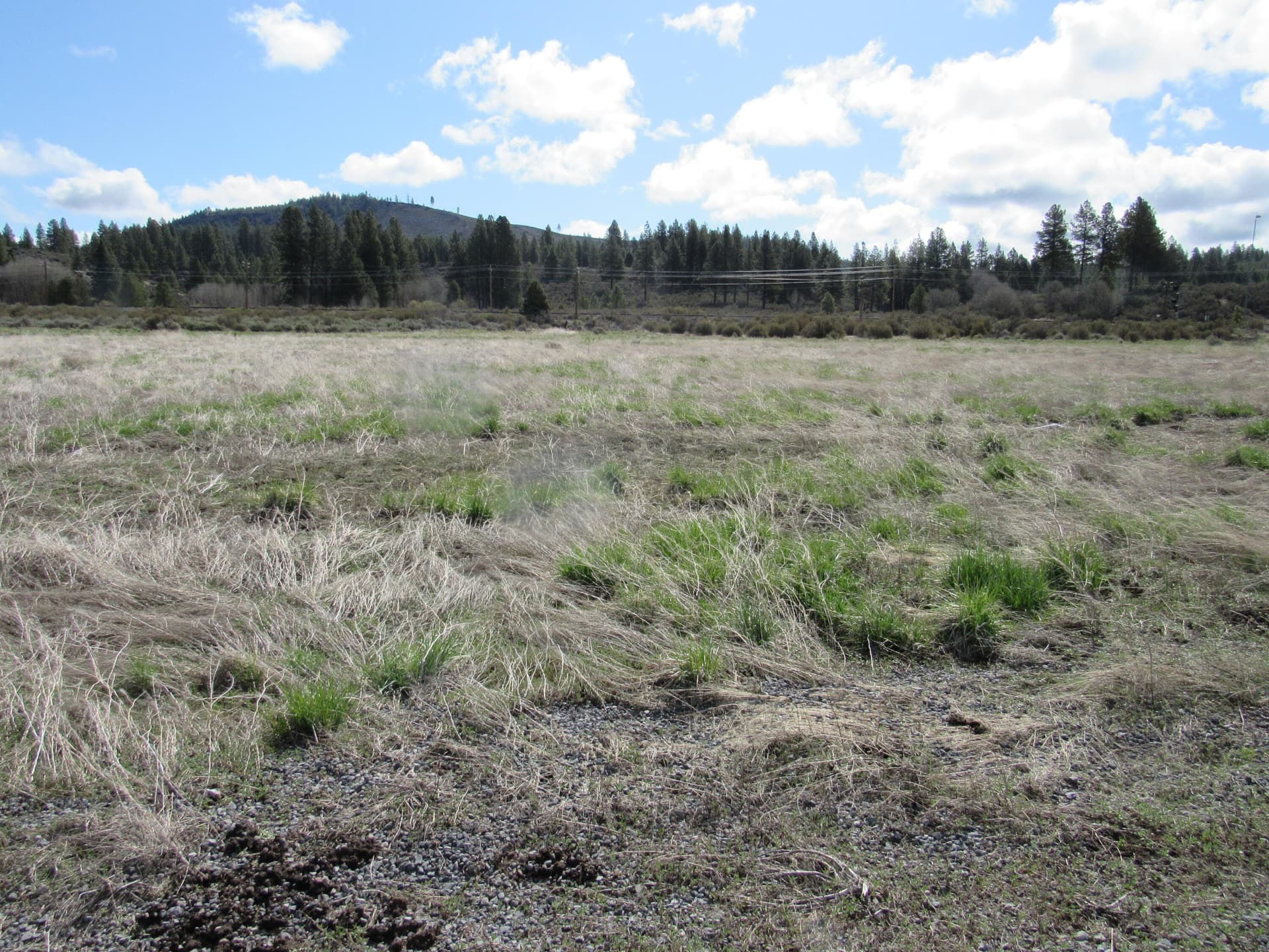Pine Ridge Ranches. Photo 1 of 8, 0 Cattle Drive Unit 883876, Chiloquin, OR 97624