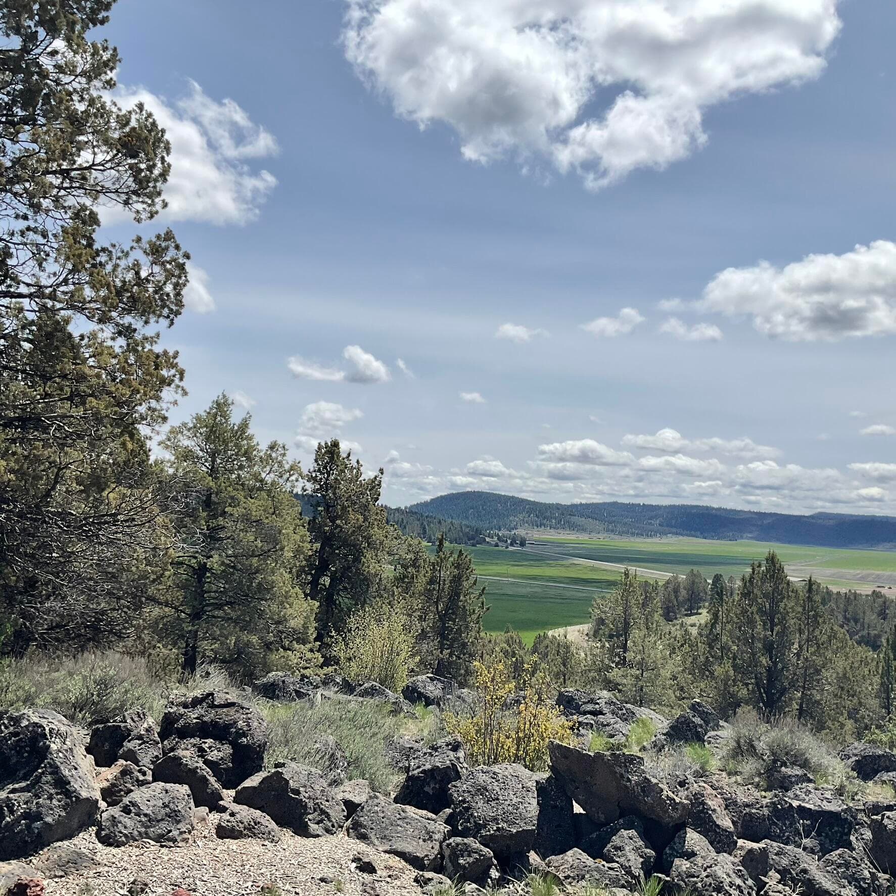 Towards south east. Photo 5 of 26, Lot 1210 Fox Sparrow Drive, Klamath Falls, OR 97601