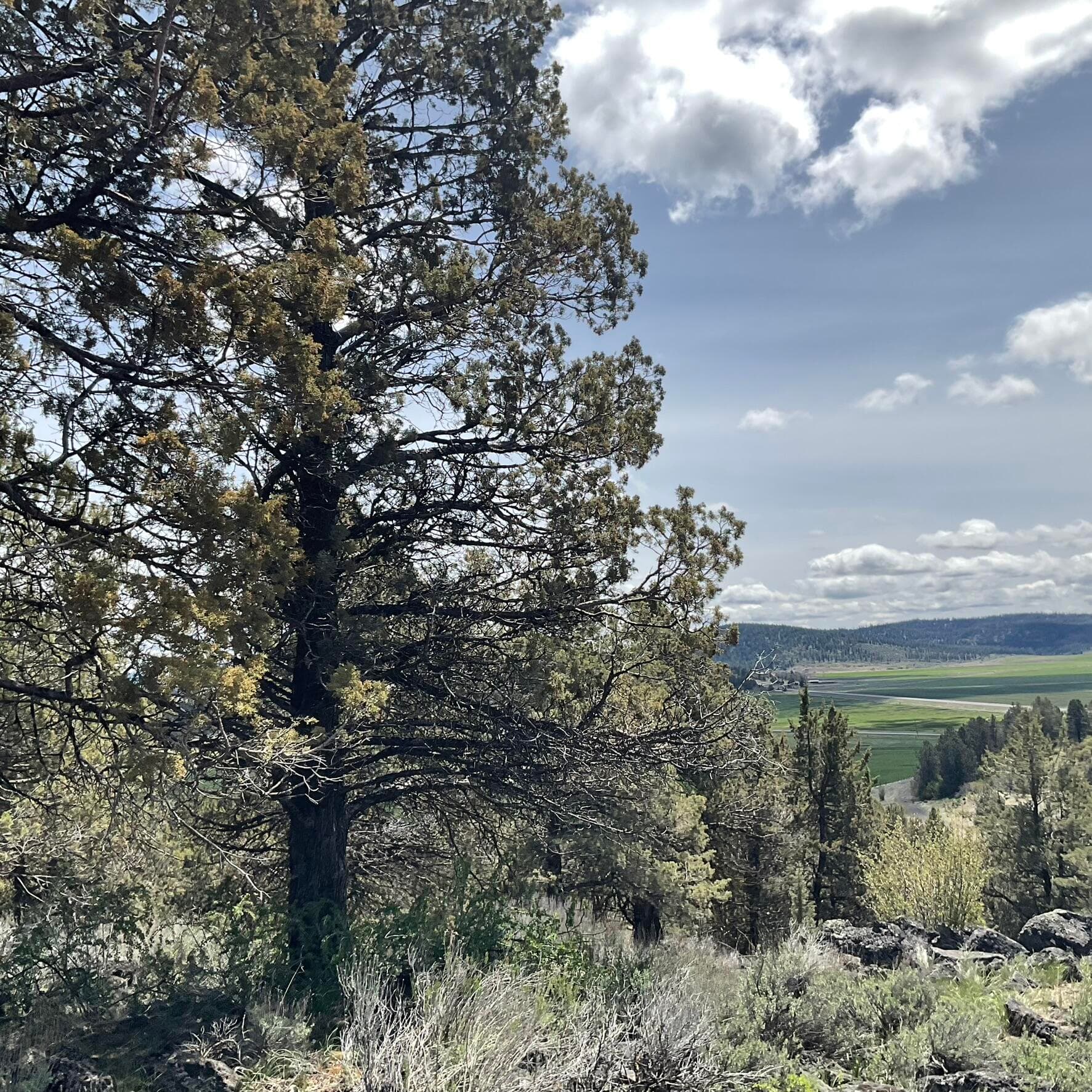 Cascade Range to east. Photo 2 of 26, Lot 1210 Fox Sparrow Drive, Klamath Falls, OR 97601