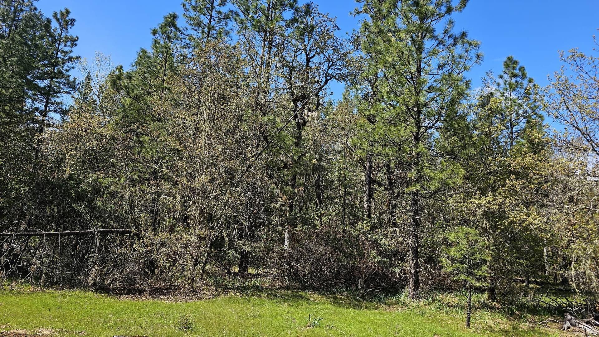 garner 1. Photo 1 of 4, 109 Garner Road, Cave Junction, OR 97523