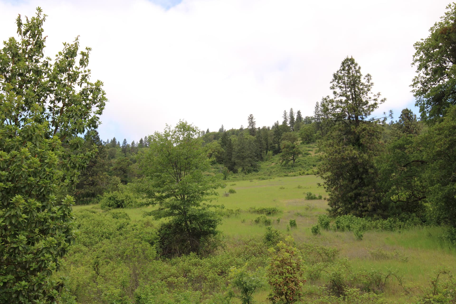 Big Game Hunting Oregon Ranches Nickel M. Photo 5 of 24, Cow Creek Road Unit 100, Riddle, OR 97469