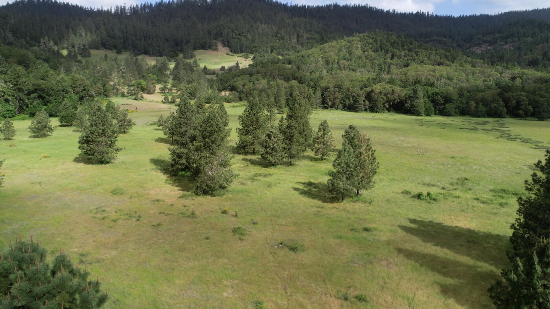 Native American Meadow Oregon Ranches Ni. Photo 4 of 24, Cow Creek Road Unit 100, Riddle, OR 97469