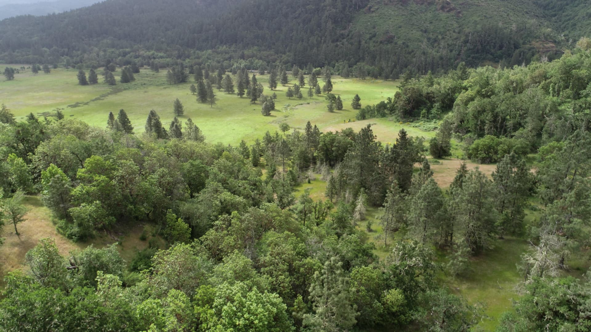 Indian Meadows Oregon Ranches Nickel Mou. Photo 3 of 24, Cow Creek Road Unit 100, Riddle, OR 97469