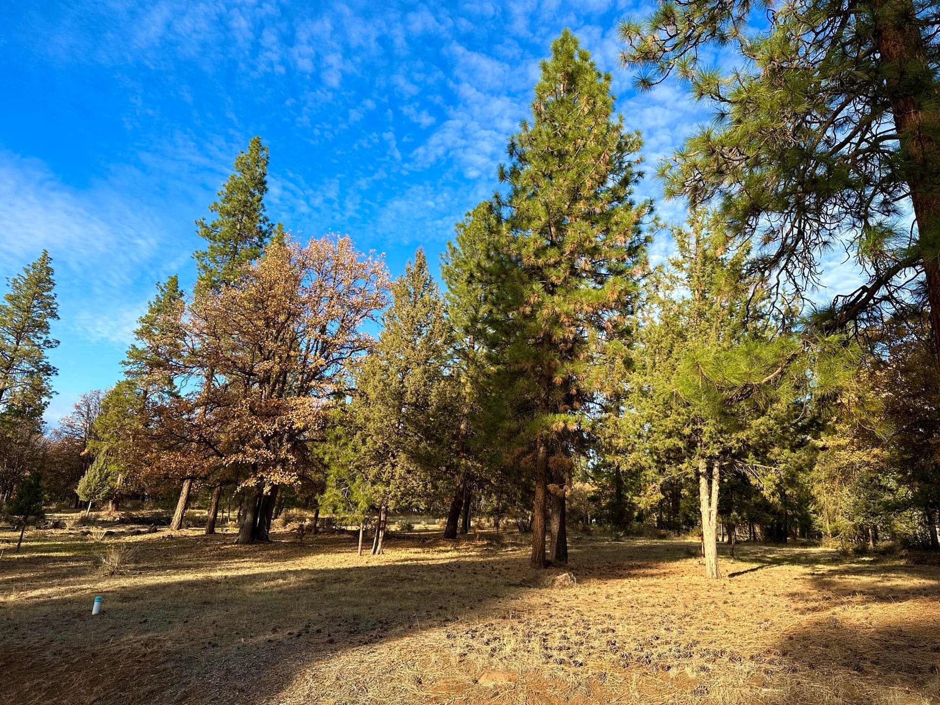 106. Photo 1 of 12, Merganser Road Unit Lot 106, Klamath Falls, OR 97601