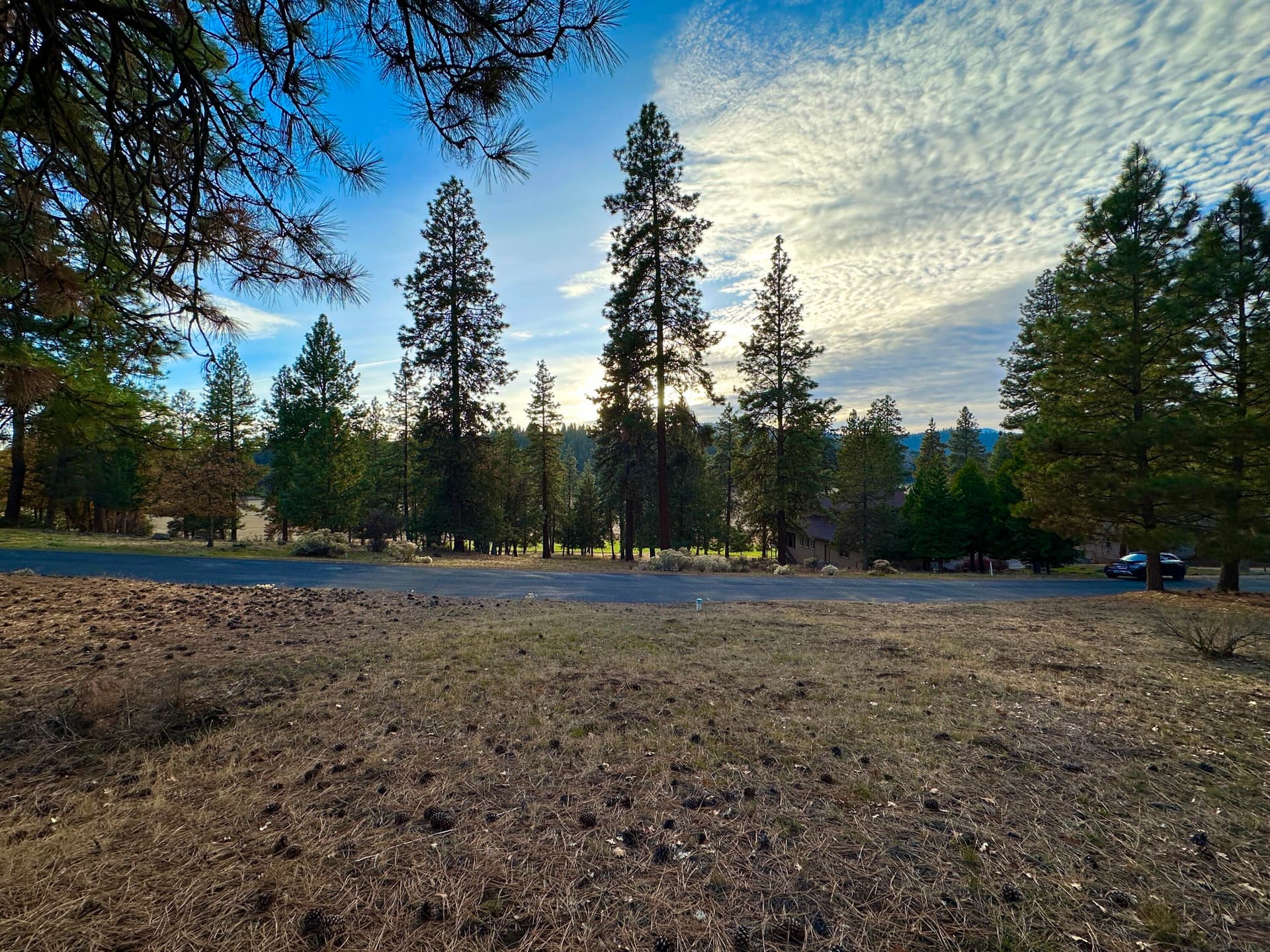 IMG_6864. Photo 2 of 12, Merganser Road Unit Lot 106, Klamath Falls, OR 97601