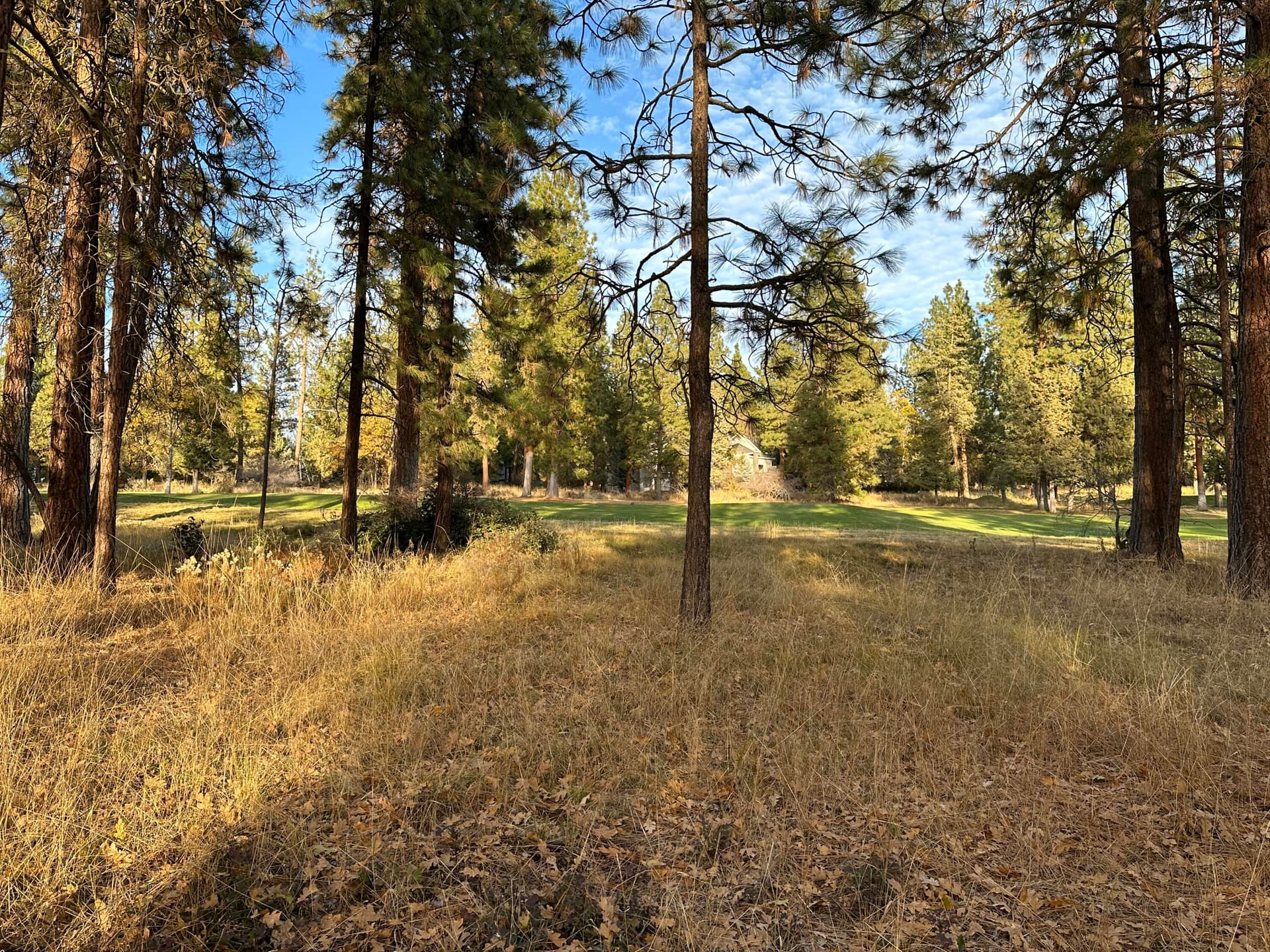 IMG_6848. Photo 4 of 12, Merganser Road Unit Lot 106, Klamath Falls, OR 97601