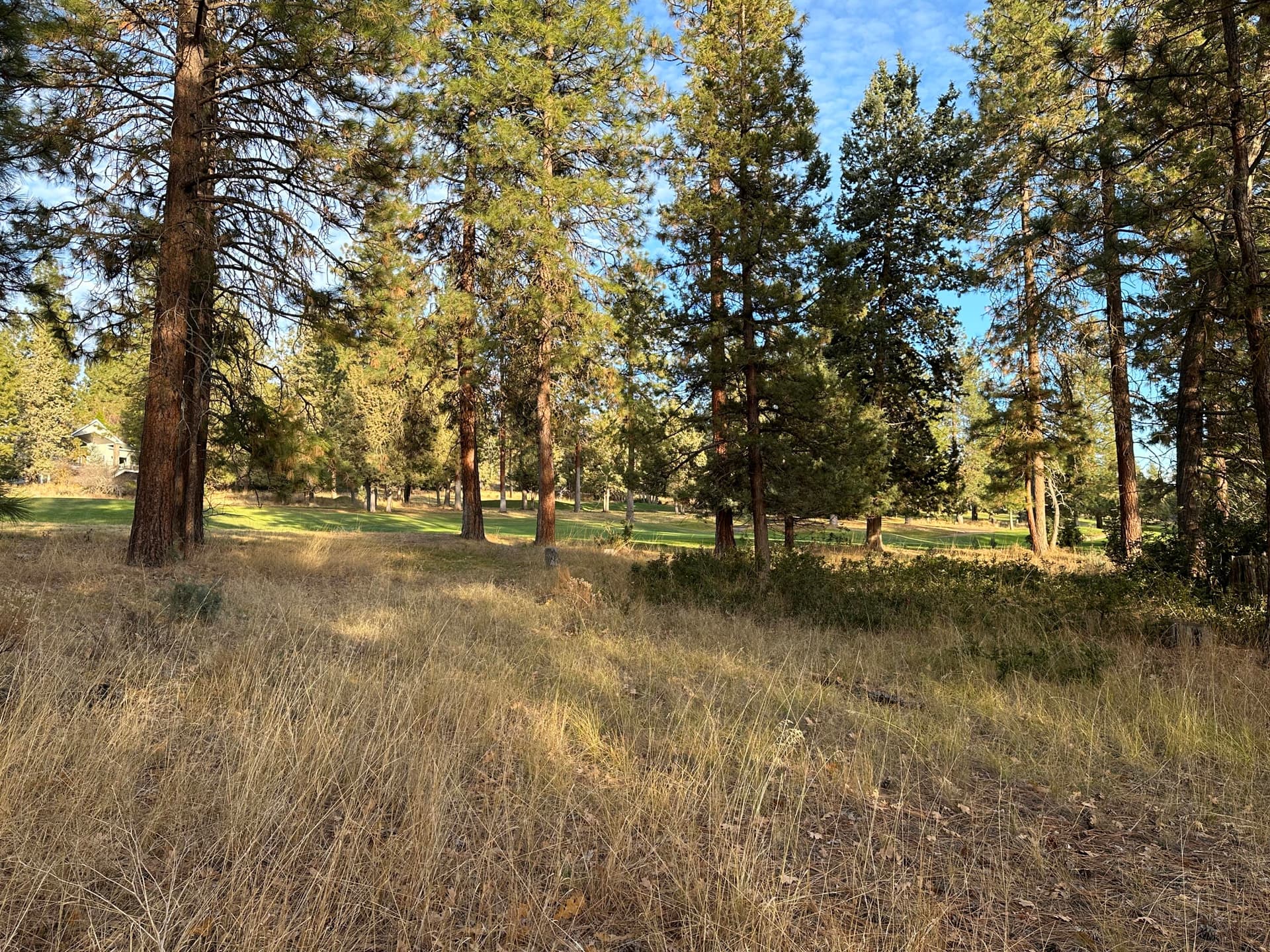 IMG_6847. Photo 5 of 12, Merganser Road Unit Lot 106, Klamath Falls, OR 97601