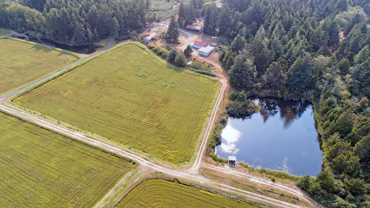 DJI_0056 (1). Photo 2 of 18, 87641 E Beach Loop Lane, Bandon, OR 97411