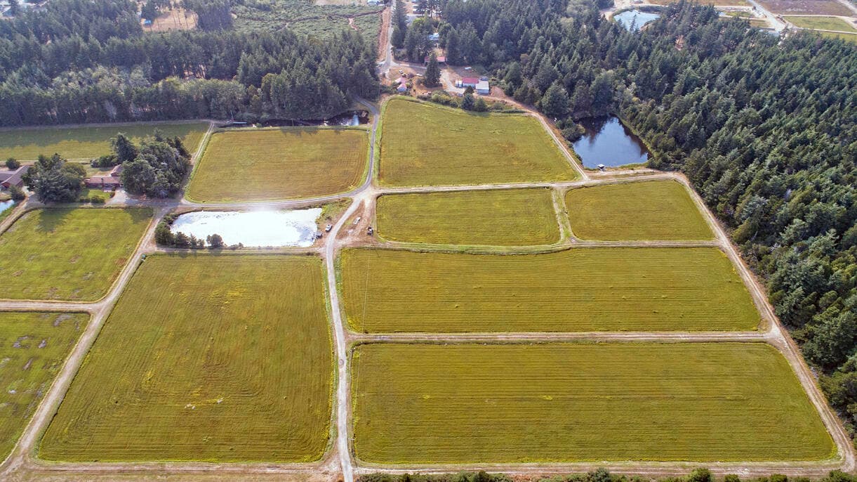 DJI_0055. Photo 3 of 18, 87641 E Beach Loop Lane, Bandon, OR 97411