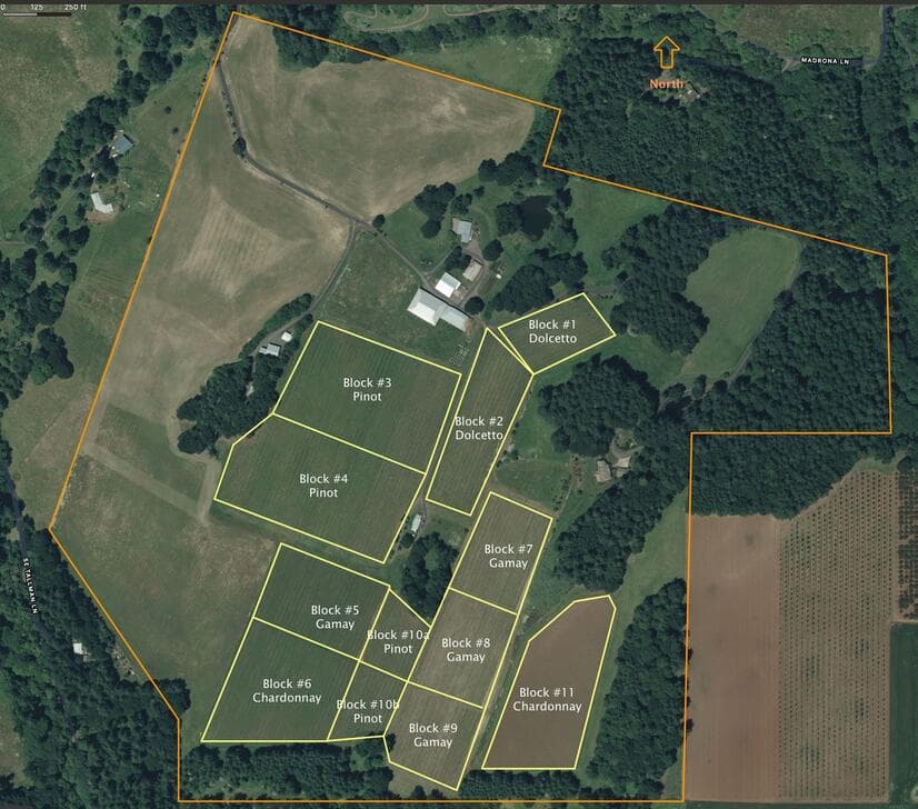 Vineyard Blocks. Photo 2 of 51, 7820 SE Amity Road, Amity, OR 97101