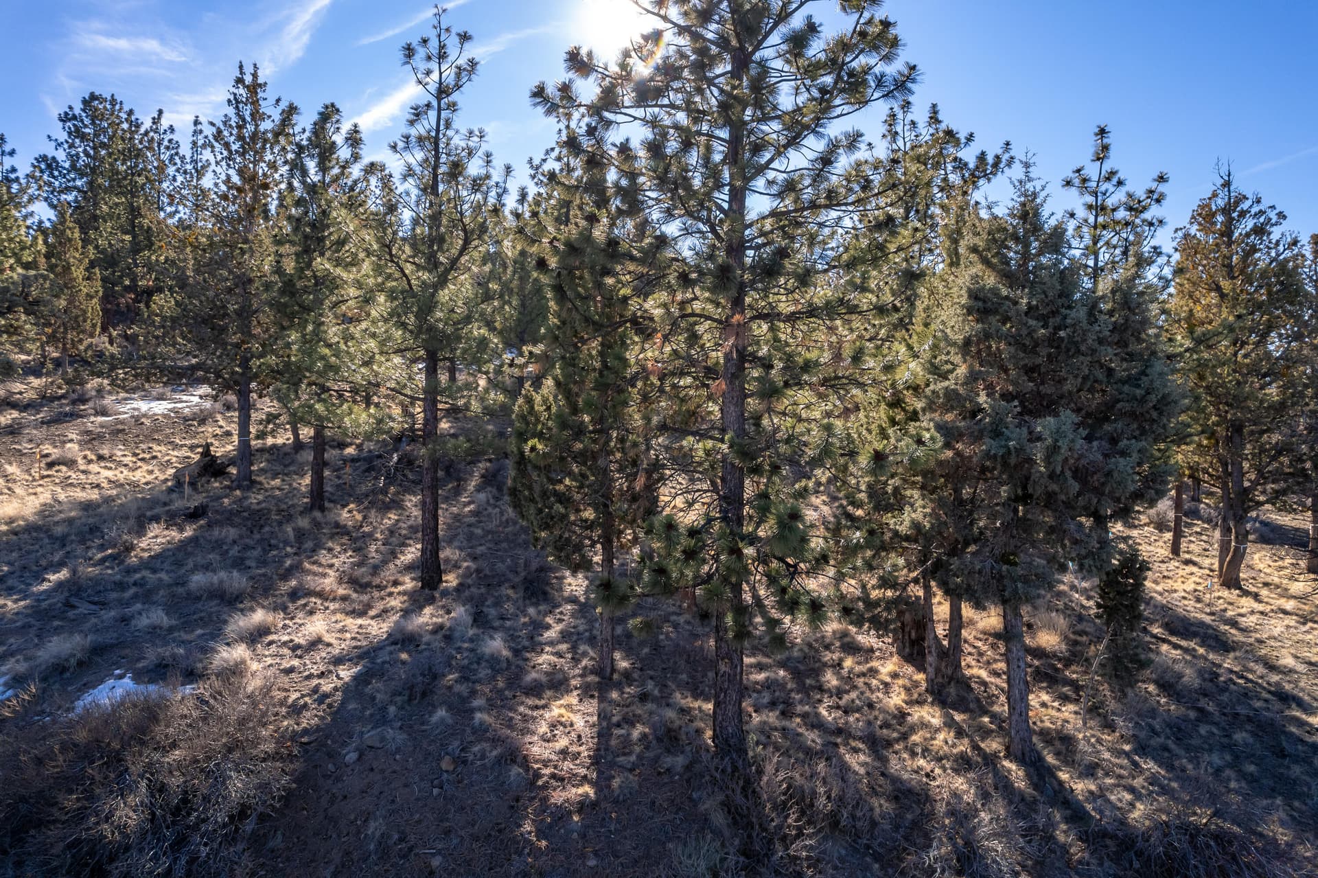 DJI_0446. Photo 4 of 19, 3399 NW Starview Drive, Bend, OR 97703