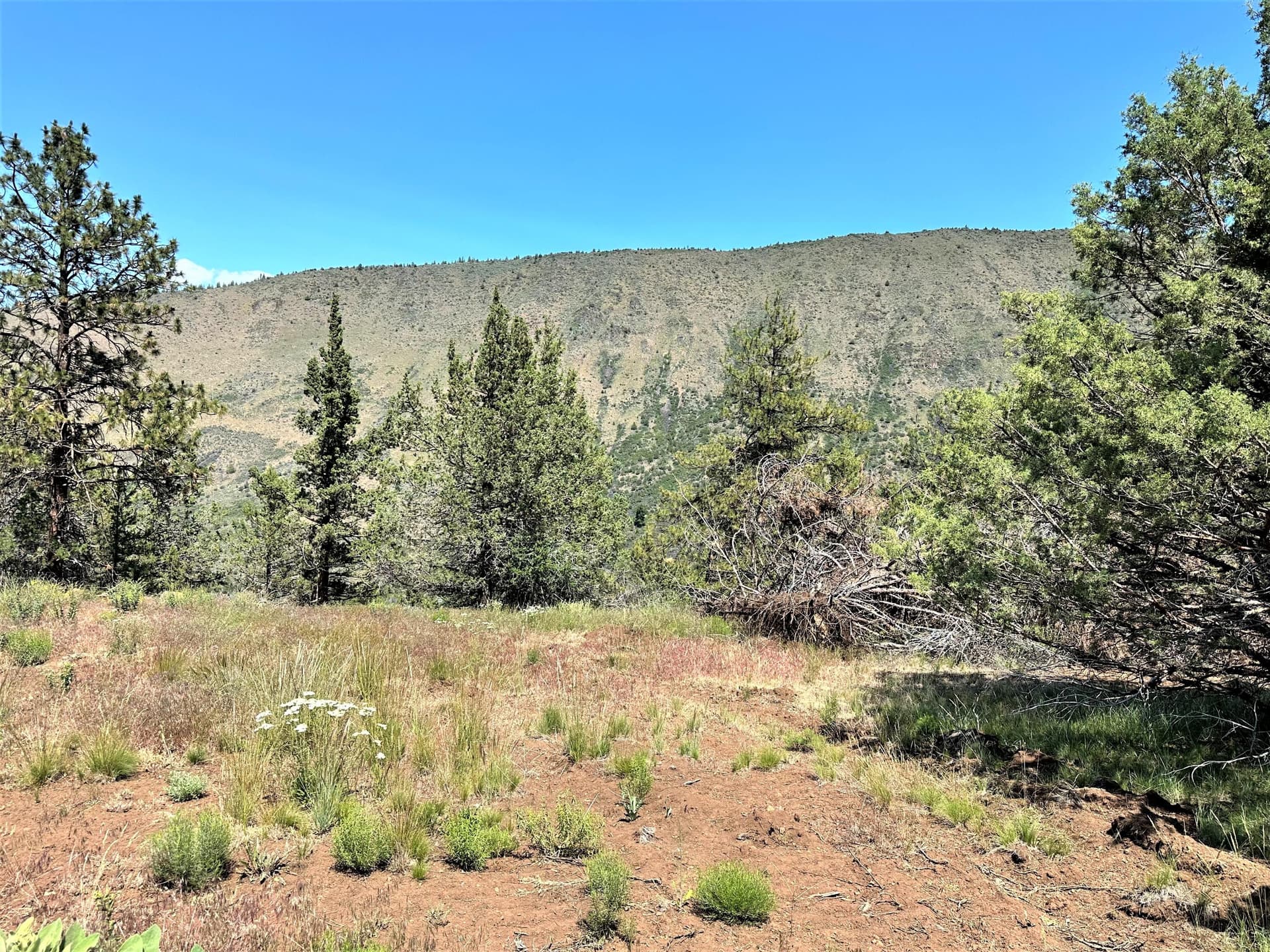 IMG_8562. Photo 1 of 33, Lot 2 Apogee Way, Klamath Falls, OR 97601
