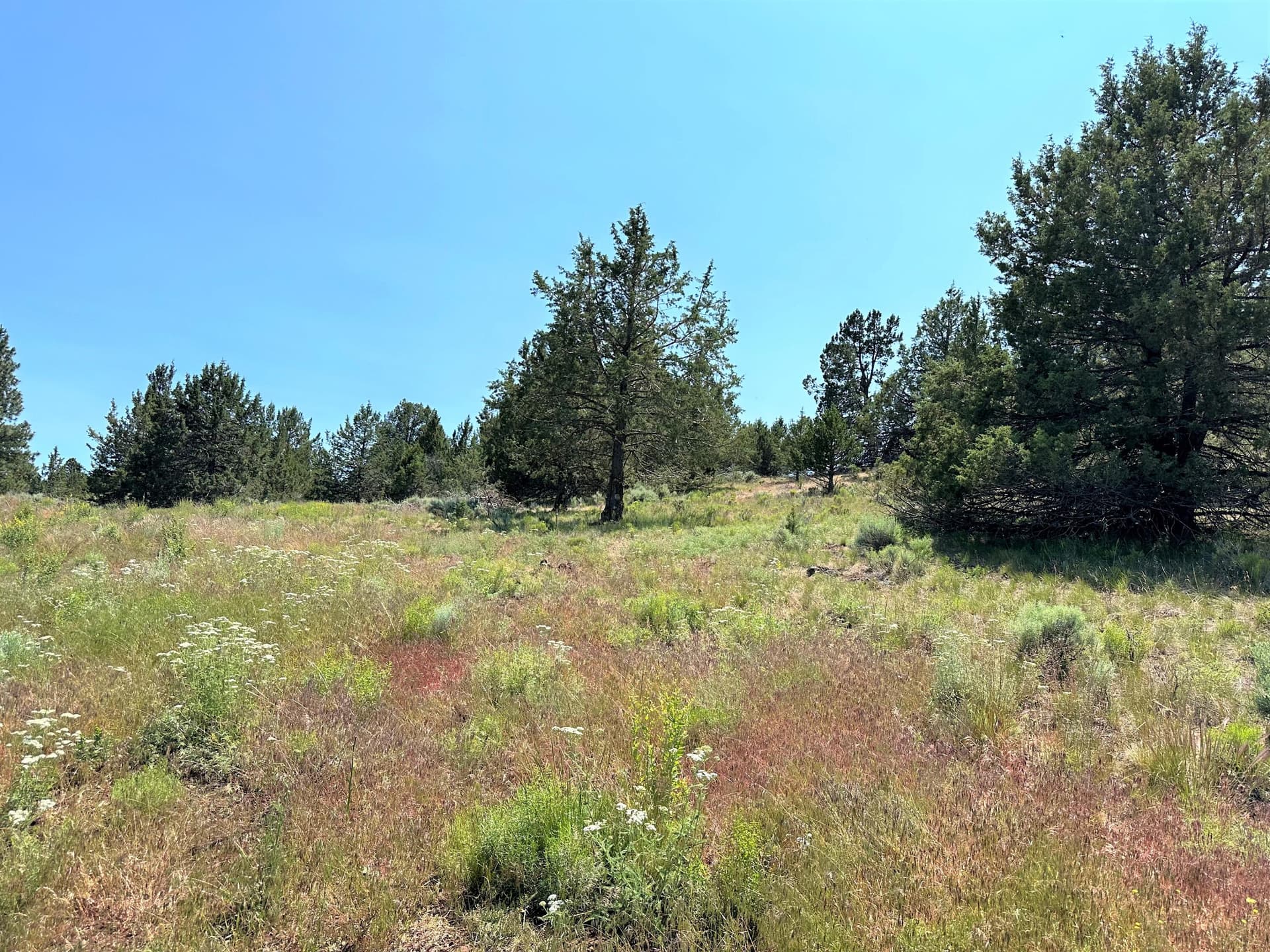 IMG_8573. Photo 5 of 33, Lot 2 Apogee Way, Klamath Falls, OR 97601