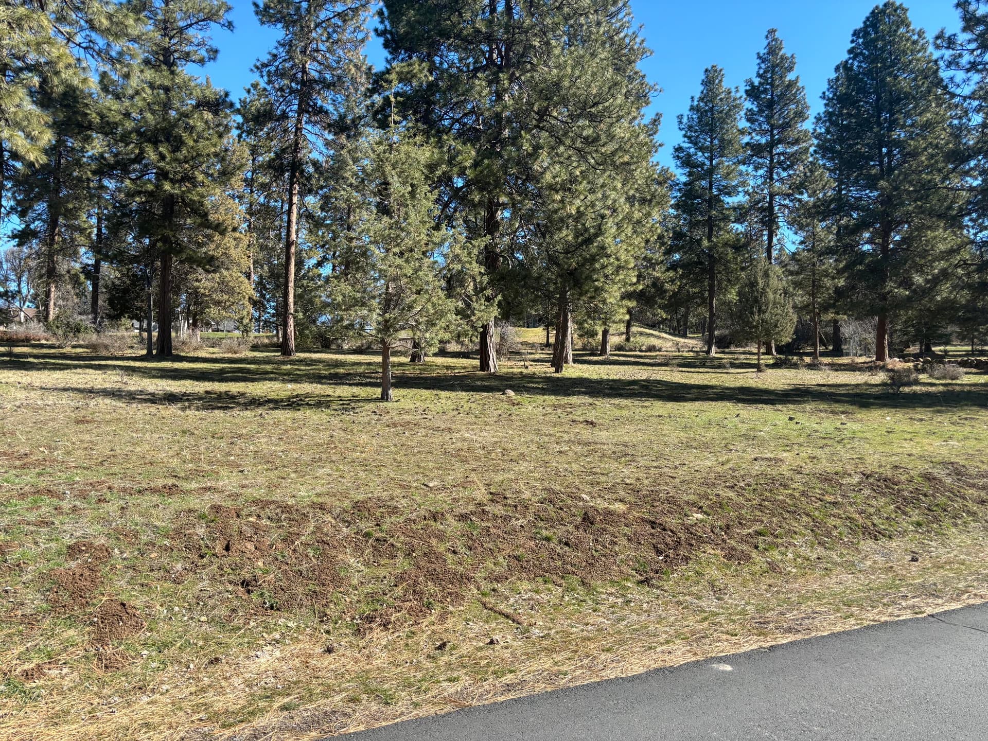 1. Photo 1 of 11, 11925 Merganser Road, Klamath Falls, OR 97601