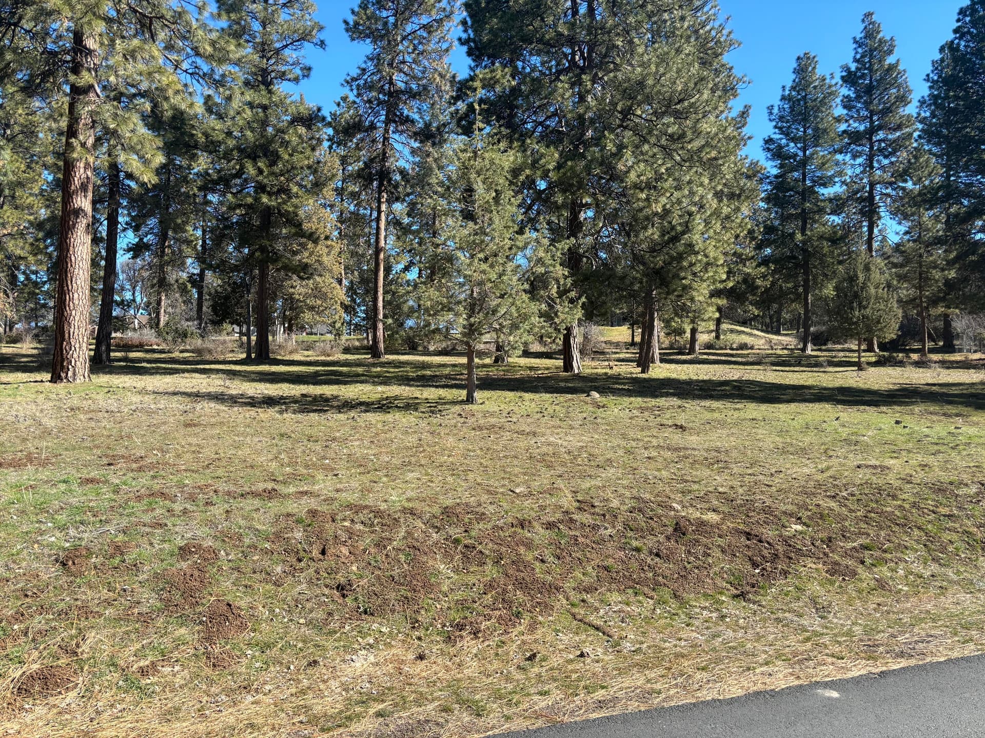 2. Photo 2 of 11, 11925 Merganser Road, Klamath Falls, OR 97601