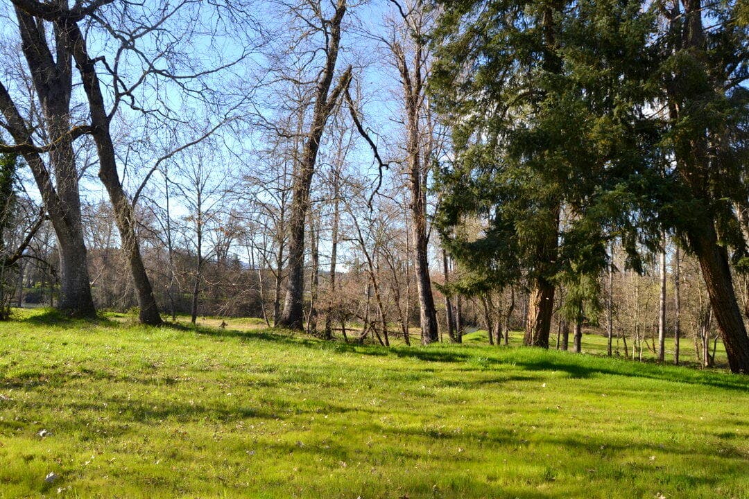 DSC_0537-001. Photo 4 of 13, Lot 2 Gerald Place, Grants Pass, OR 97527