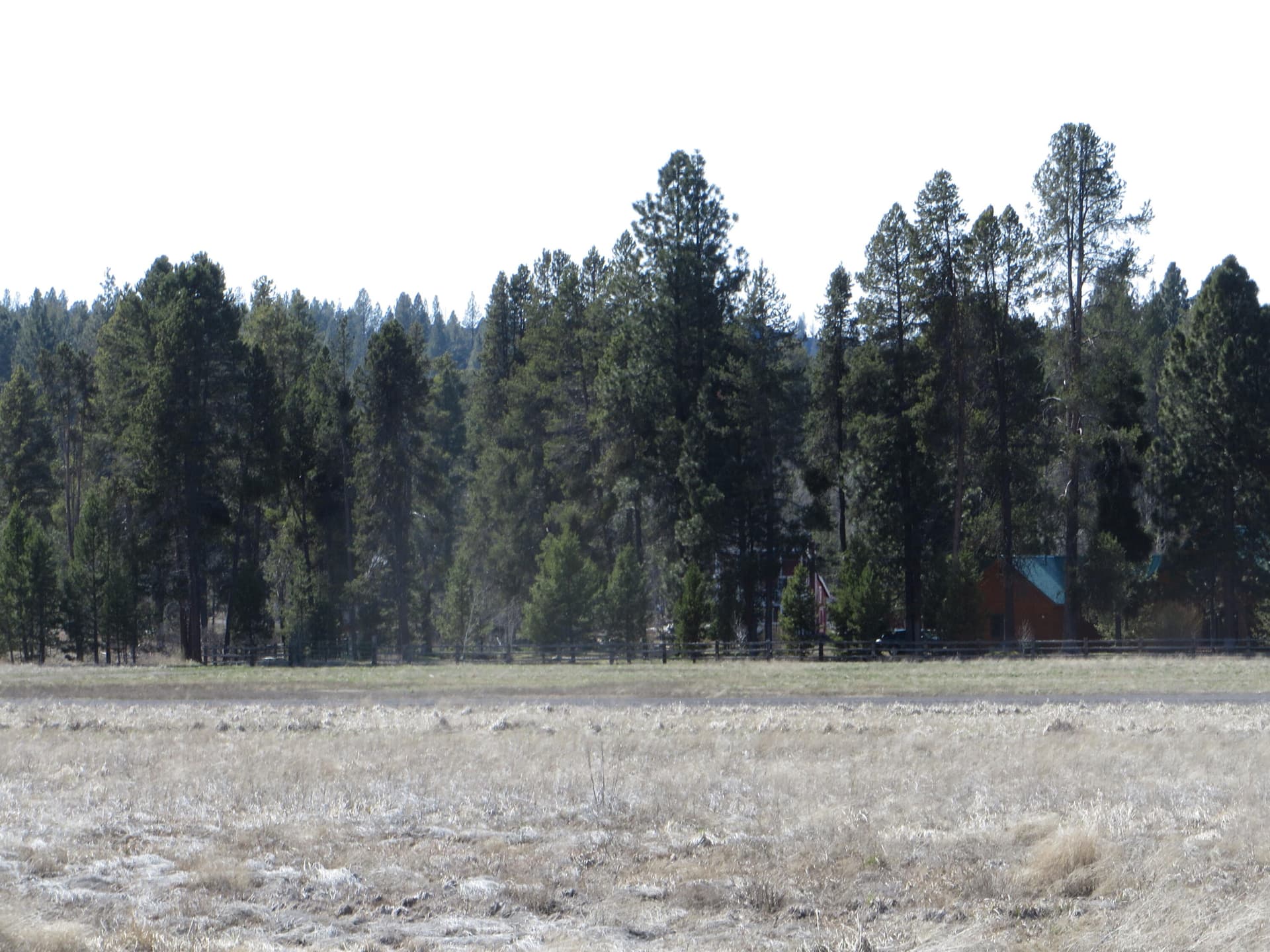 IMG_3191. Photo 4 of 14, 00 Longhorn Loop Unit 26, Chiloquin, OR 97624