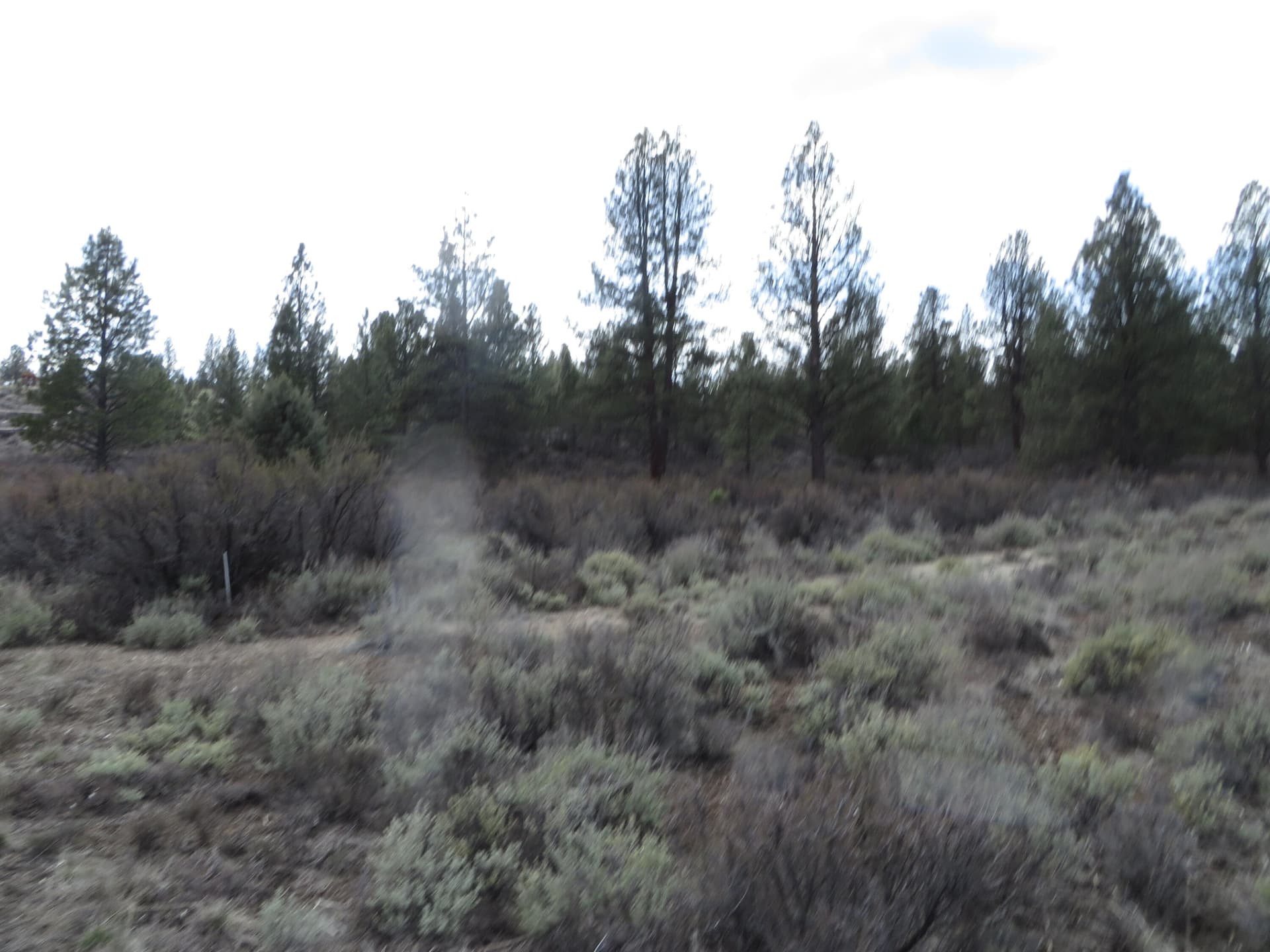 IMG_3205. Photo 2 of 7, Bl 3 L 10 Laura Lane, Chiloquin, OR 97624