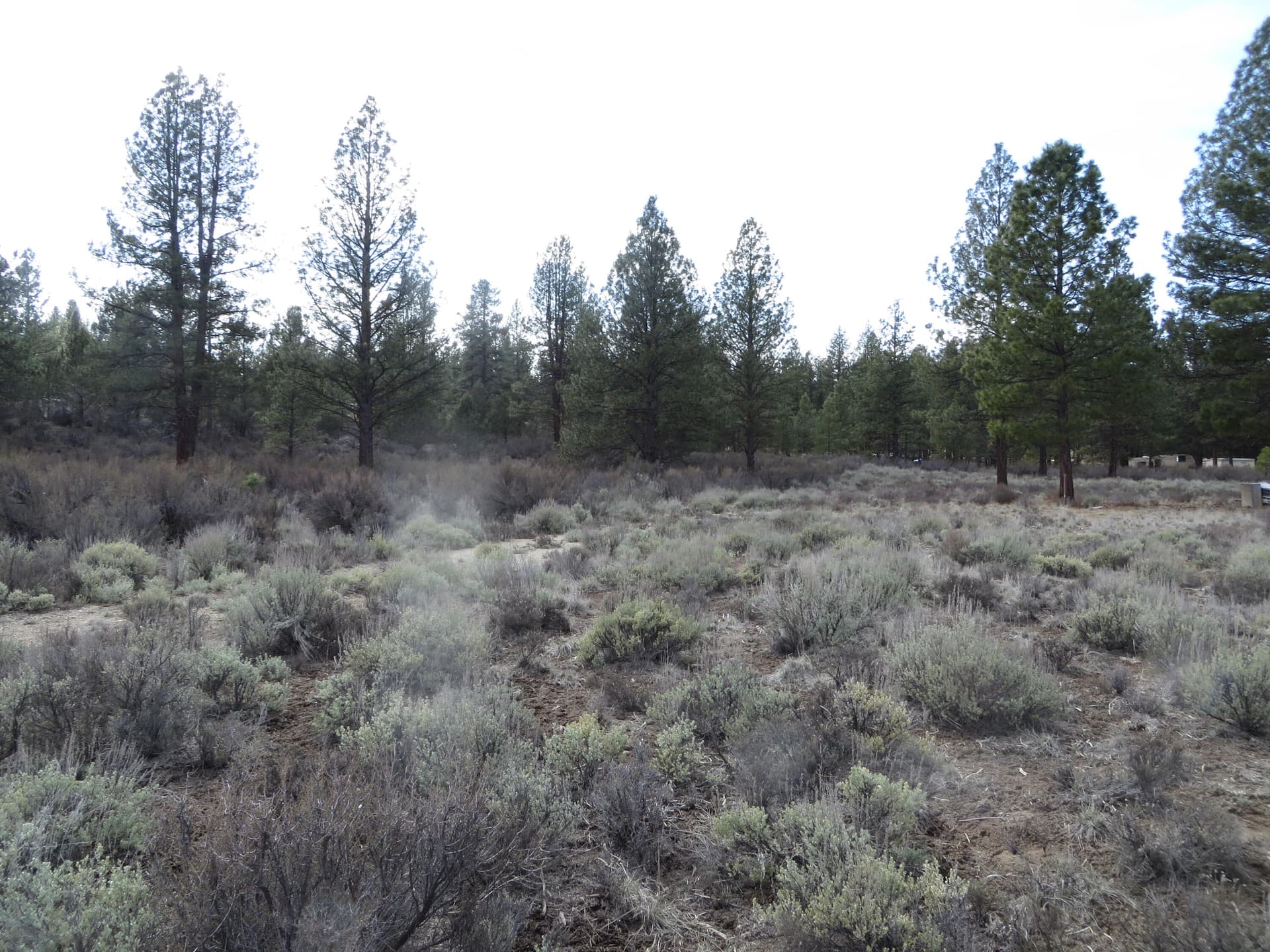 IMG_3206. Photo 4 of 7, Bl 3 L 10 Laura Lane, Chiloquin, OR 97624