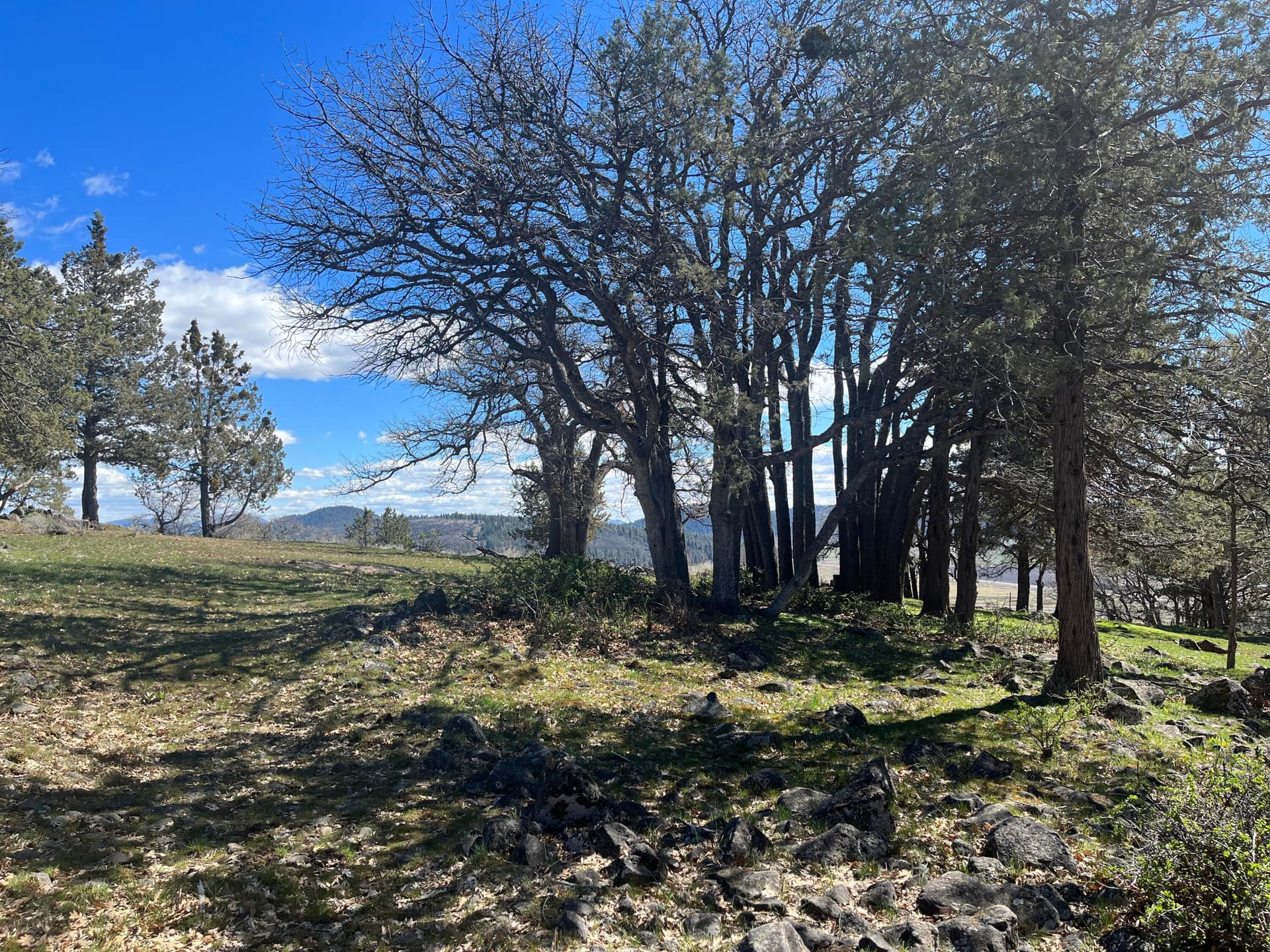 9DCF8B97-CD9D-4B9A-8801-2A508018F621. Photo 4 of 9, Lot 828 Coopers Hawk Road, Klamath Falls, OR 97601