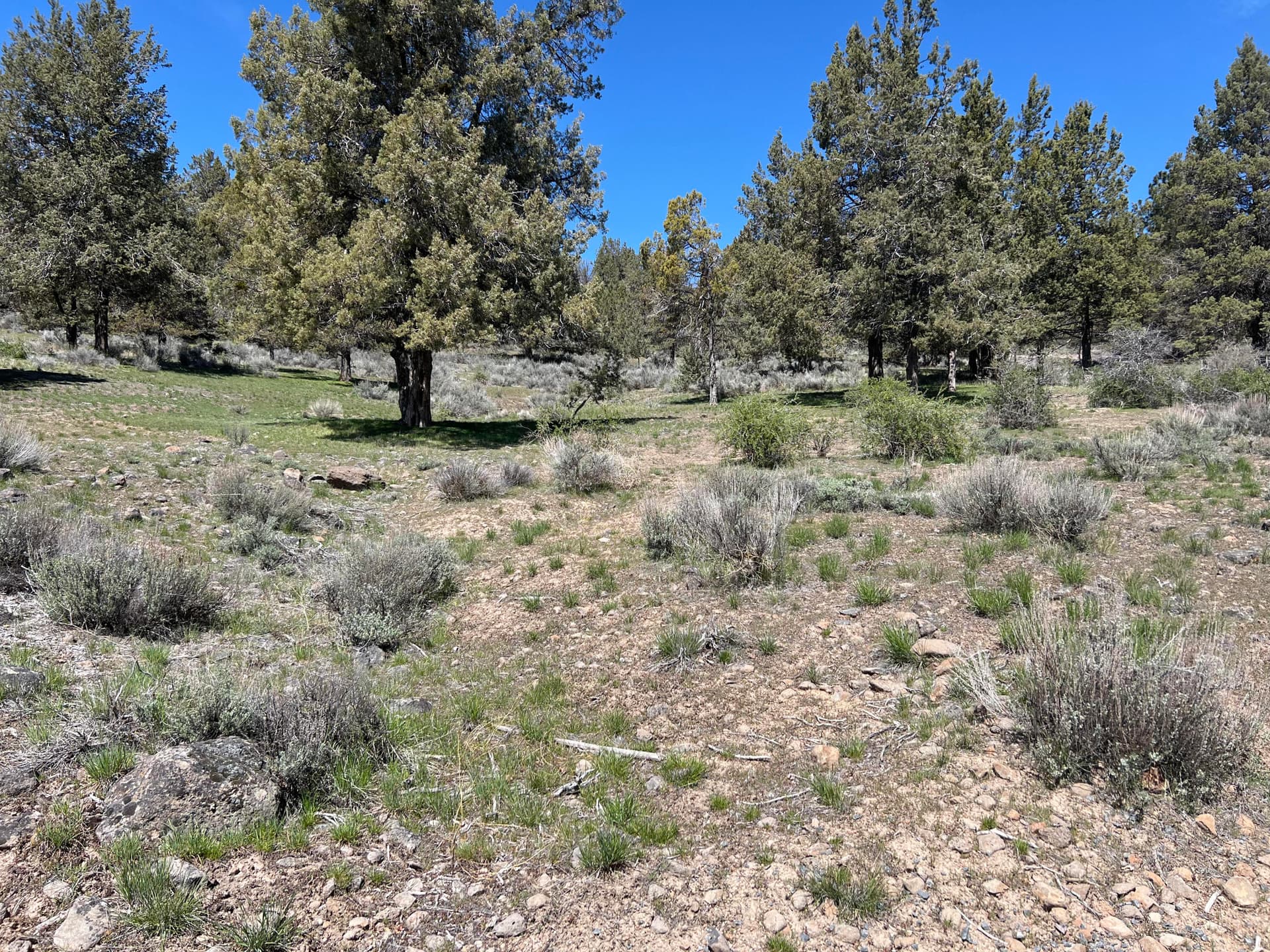 Lot. Photo 1 of 4, Lot 1195 Murrelet Road, Klamath Falls, OR 97601