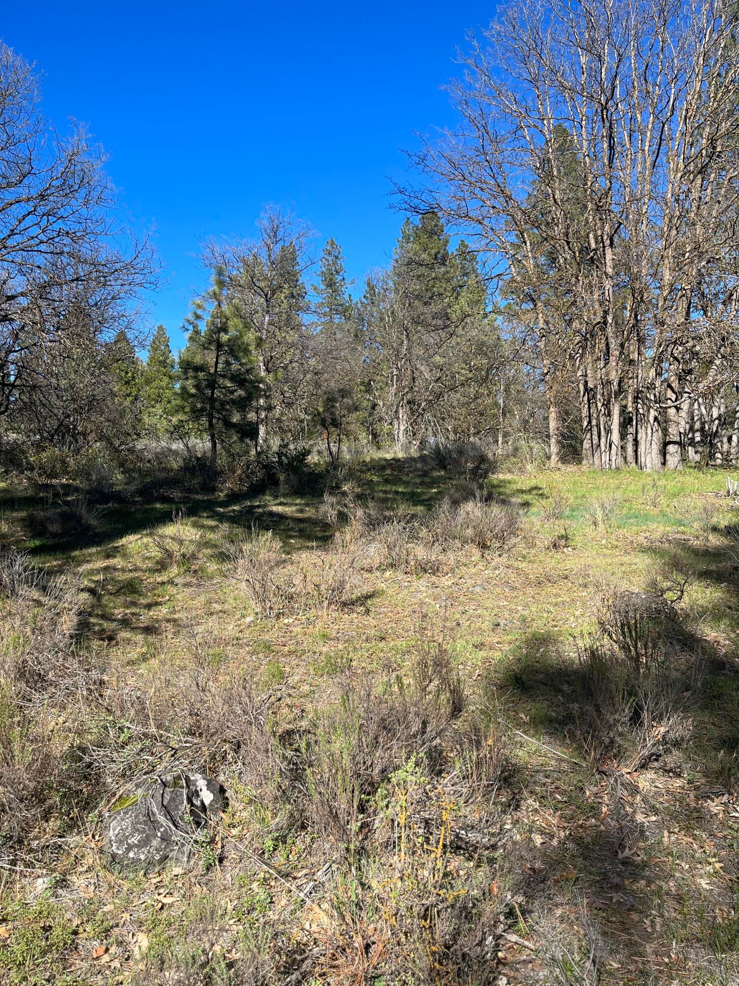 IMG_2869. Photo 4 of 5, 0 Merganser Road Unit Lot 110, Klamath Falls, OR 97601