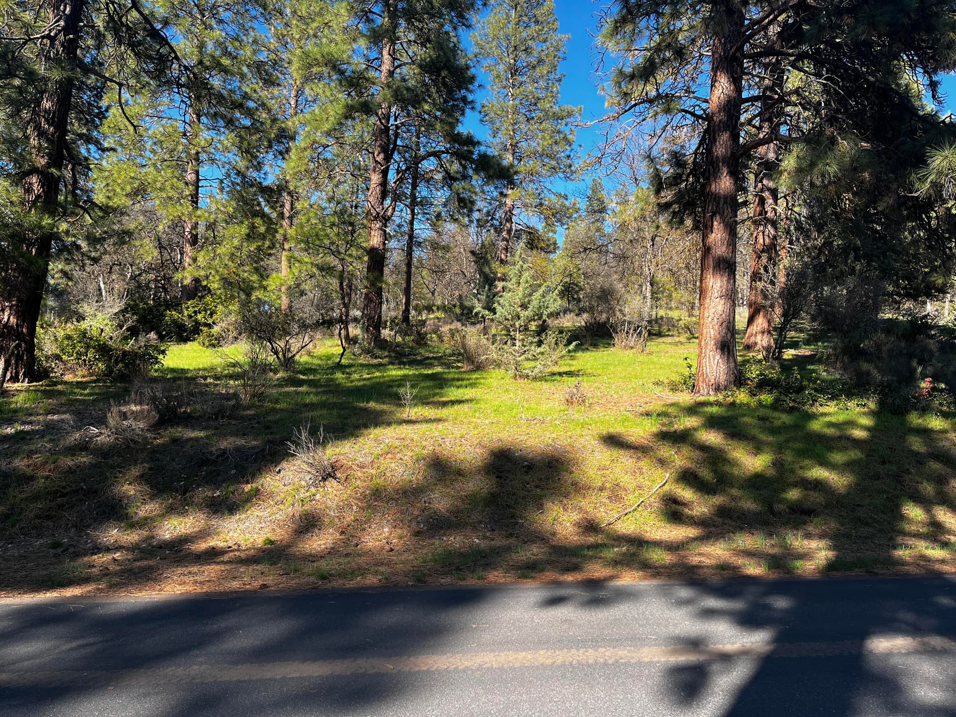 IMG_2864. Photo 1 of 5, 0 Merganser Road Unit Lot 110, Klamath Falls, OR 97601