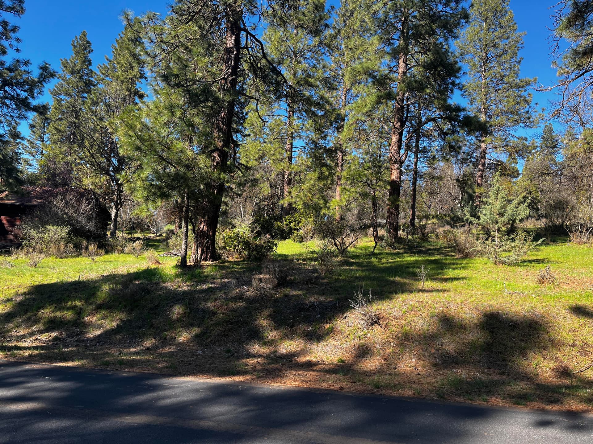 IMG_2863. Photo 5 of 5, 0 Merganser Road Unit Lot 110, Klamath Falls, OR 97601