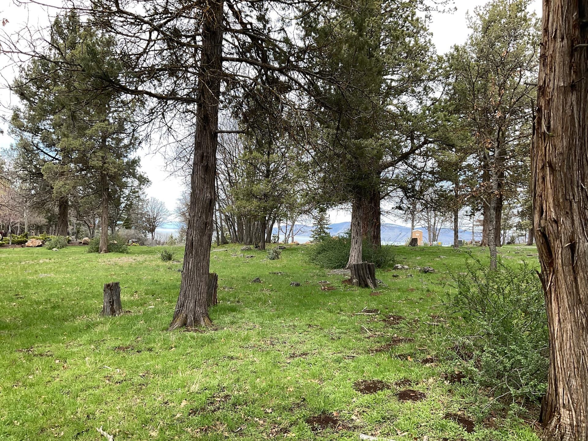 Looking north from rear of 584 Sanderlin. Photo 2 of 4, 0 Sanderling Unit Lot 584, Klamath Falls, OR 97601