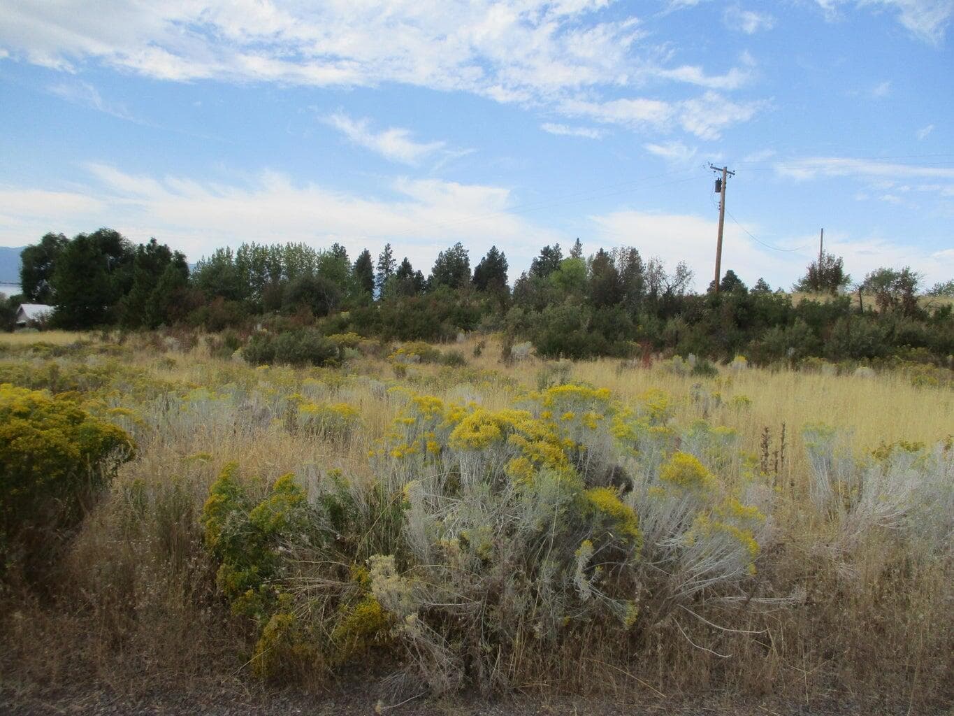 20220912155924034058000000-o. Photo 4 of 6, Lot 4 Elida Court, Chiloquin, OR 97624