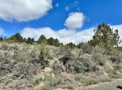02. Photo 2 of 7, Nimrod River Park Unit 06, Sprague River, OR 97639