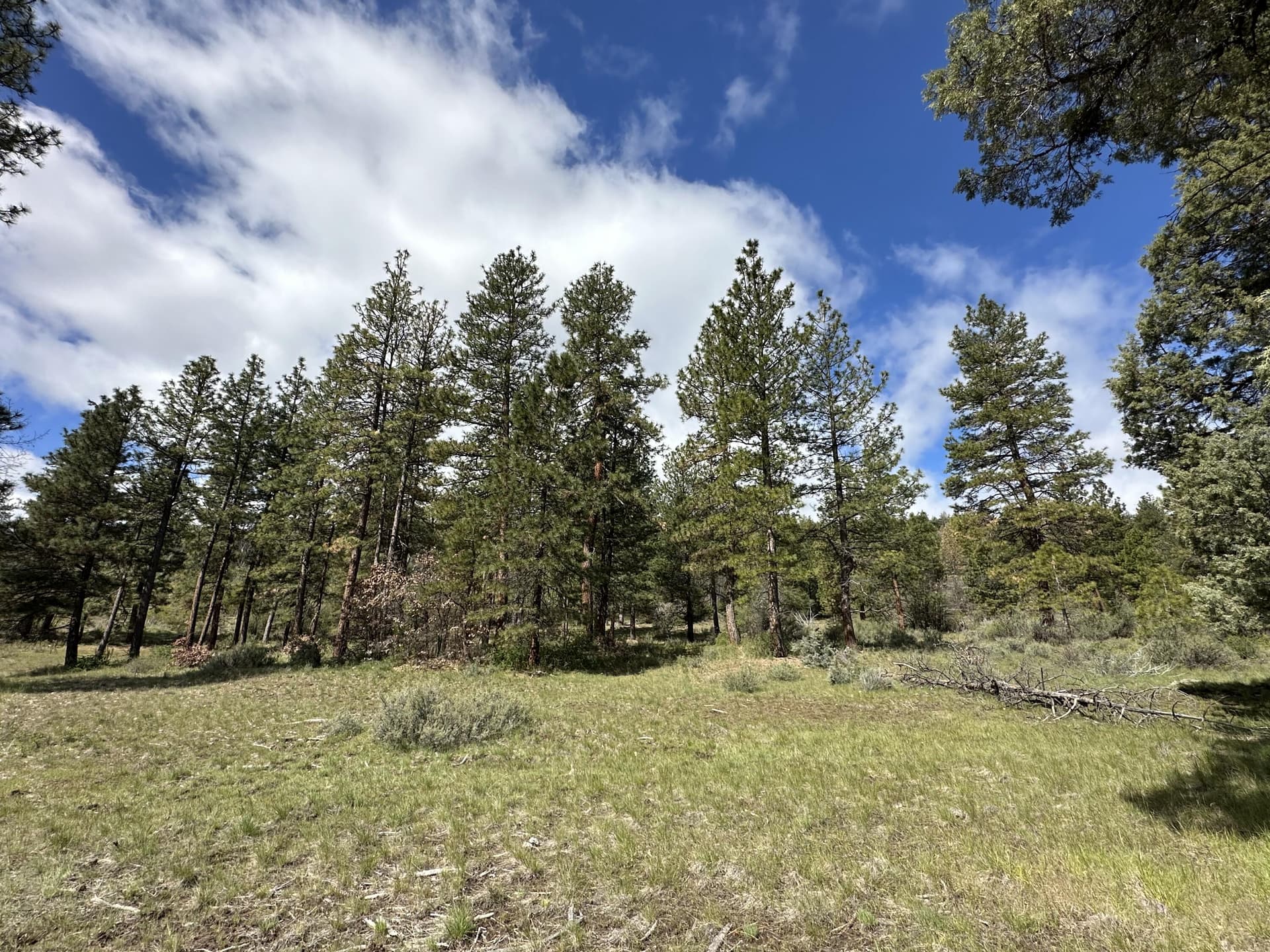Land. Photo 1 of 55, 80 Acres Off Hwy 66, Klamath Falls, OR 97601