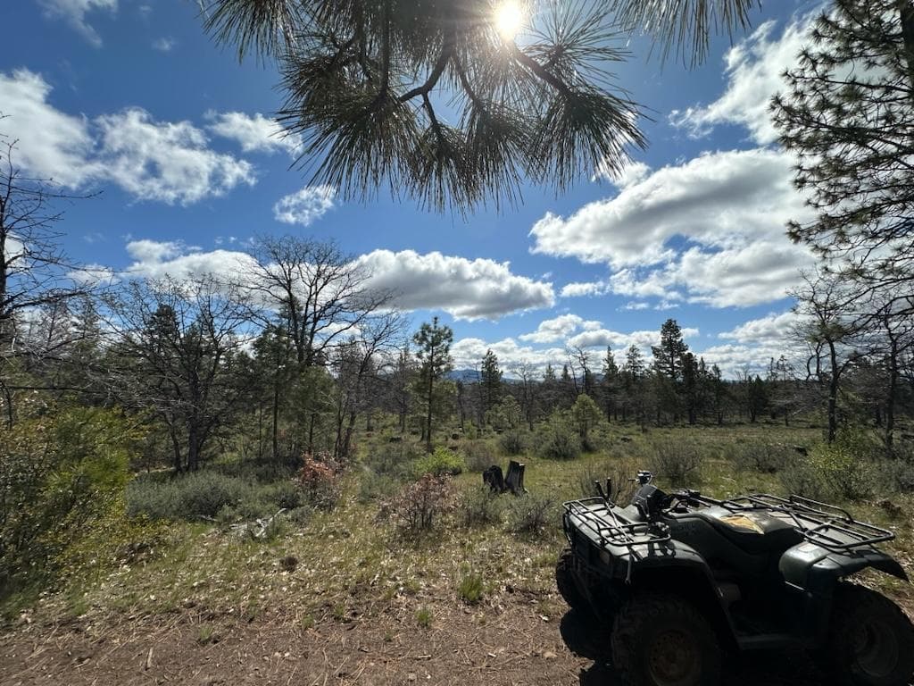 Land. Photo 5 of 55, 80 Acres Off Hwy 66, Klamath Falls, OR 97601