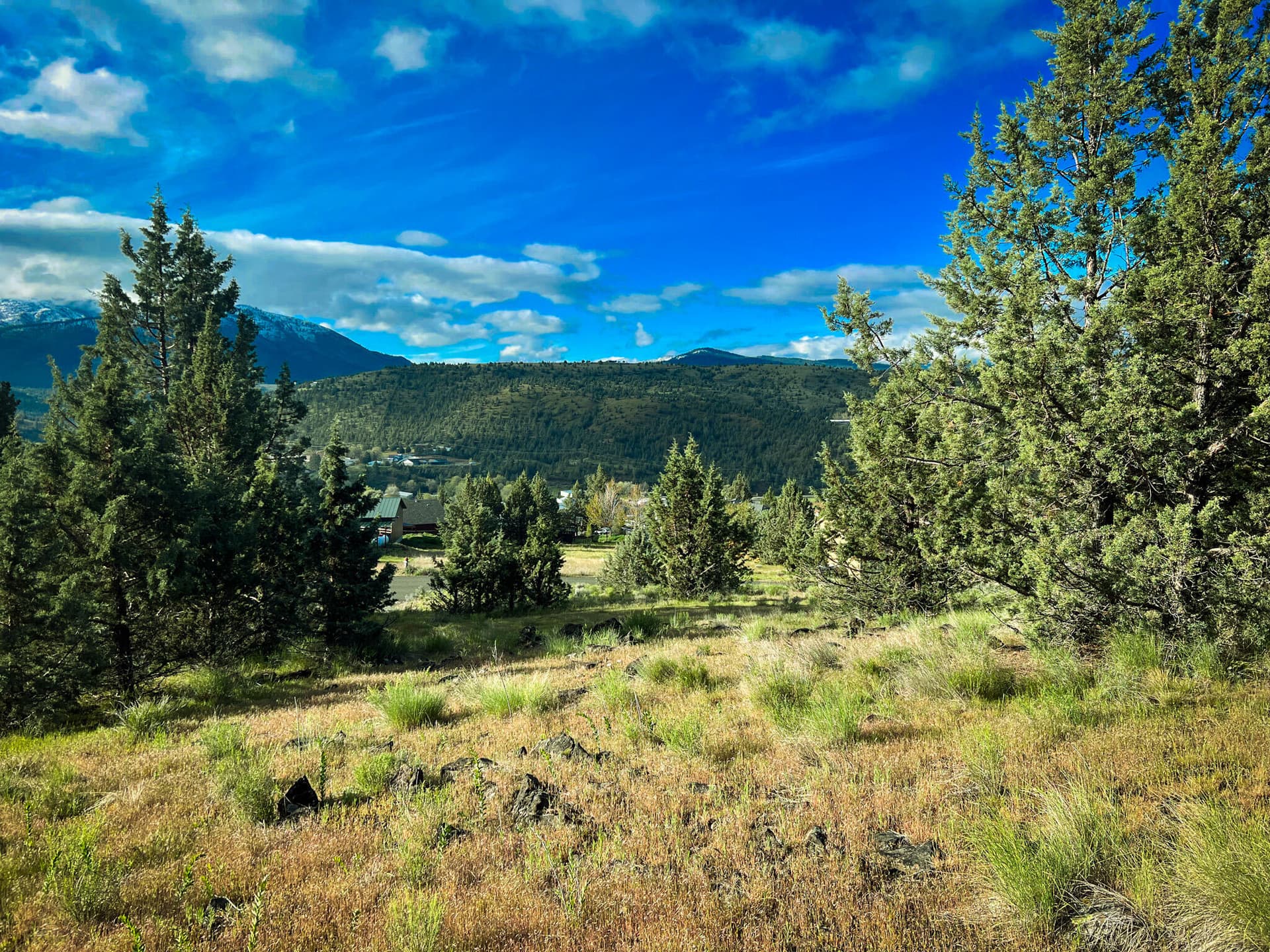 IMG_0556. Photo 1 of 22, 229 Valley View Drive, John Day, OR 97845