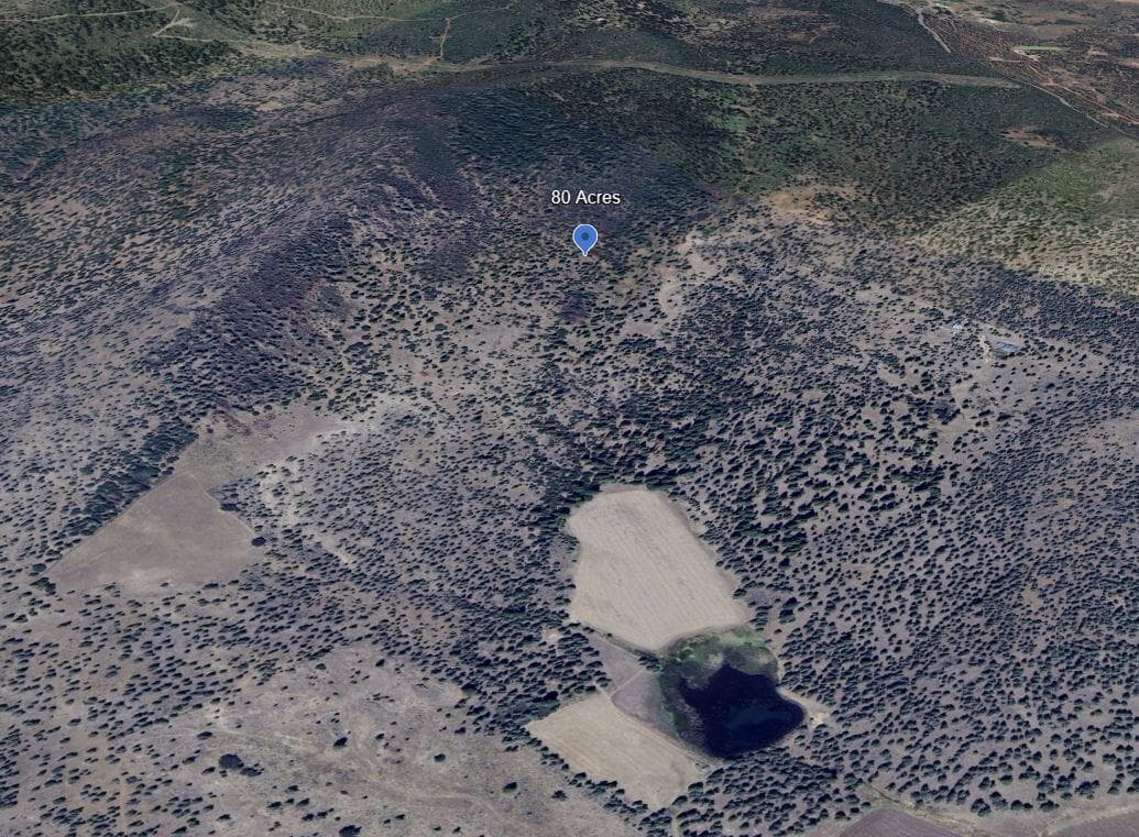 Capture. Photo 4 of 55, 80 Acres Off Hwy 66, Klamath Falls, OR 97601