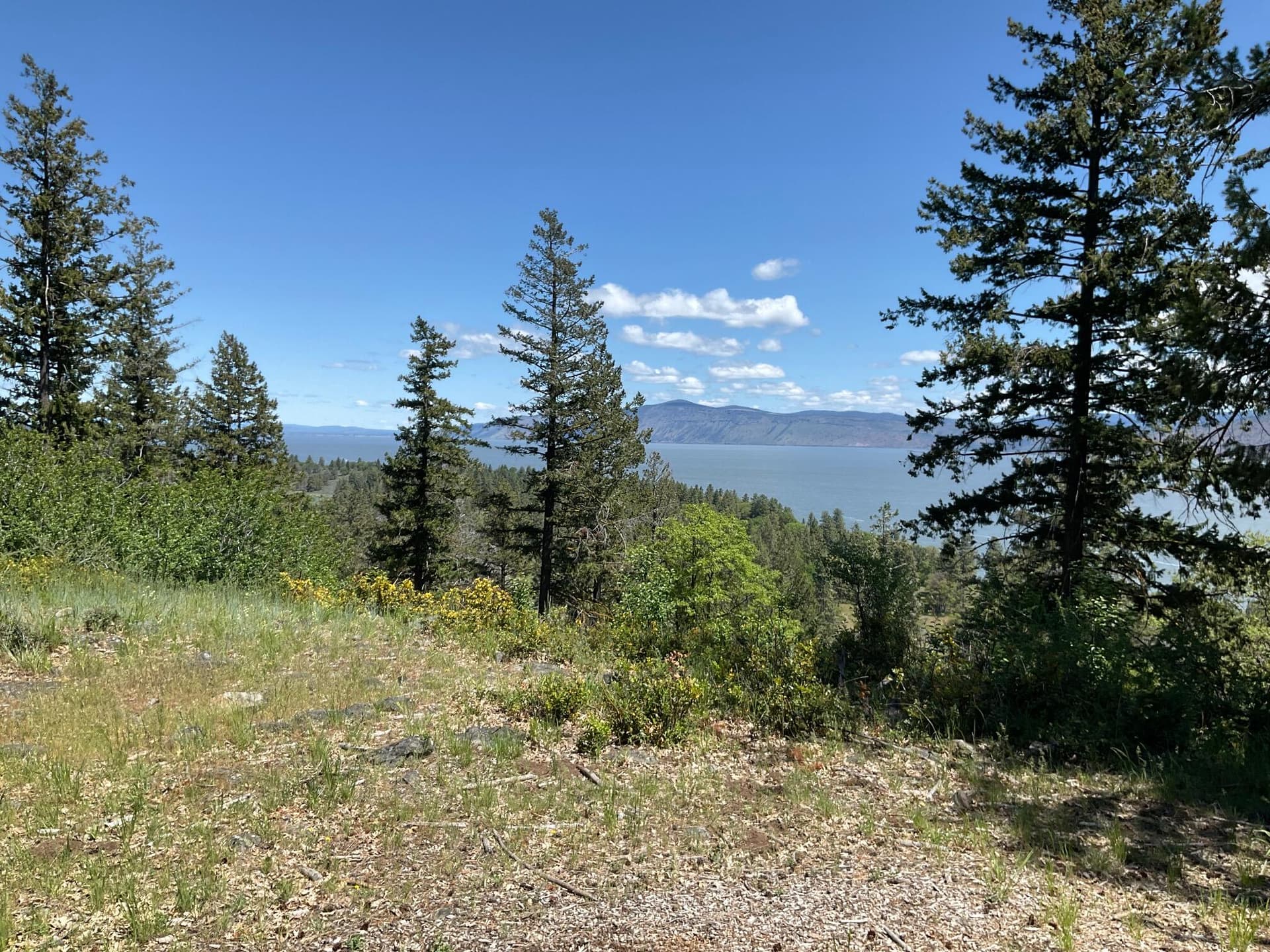 Much Desired Osprey Lane Site. Photo 2 of 10, 0 Osprey Lane Unit Lot 195, Klamath Falls, OR 97601