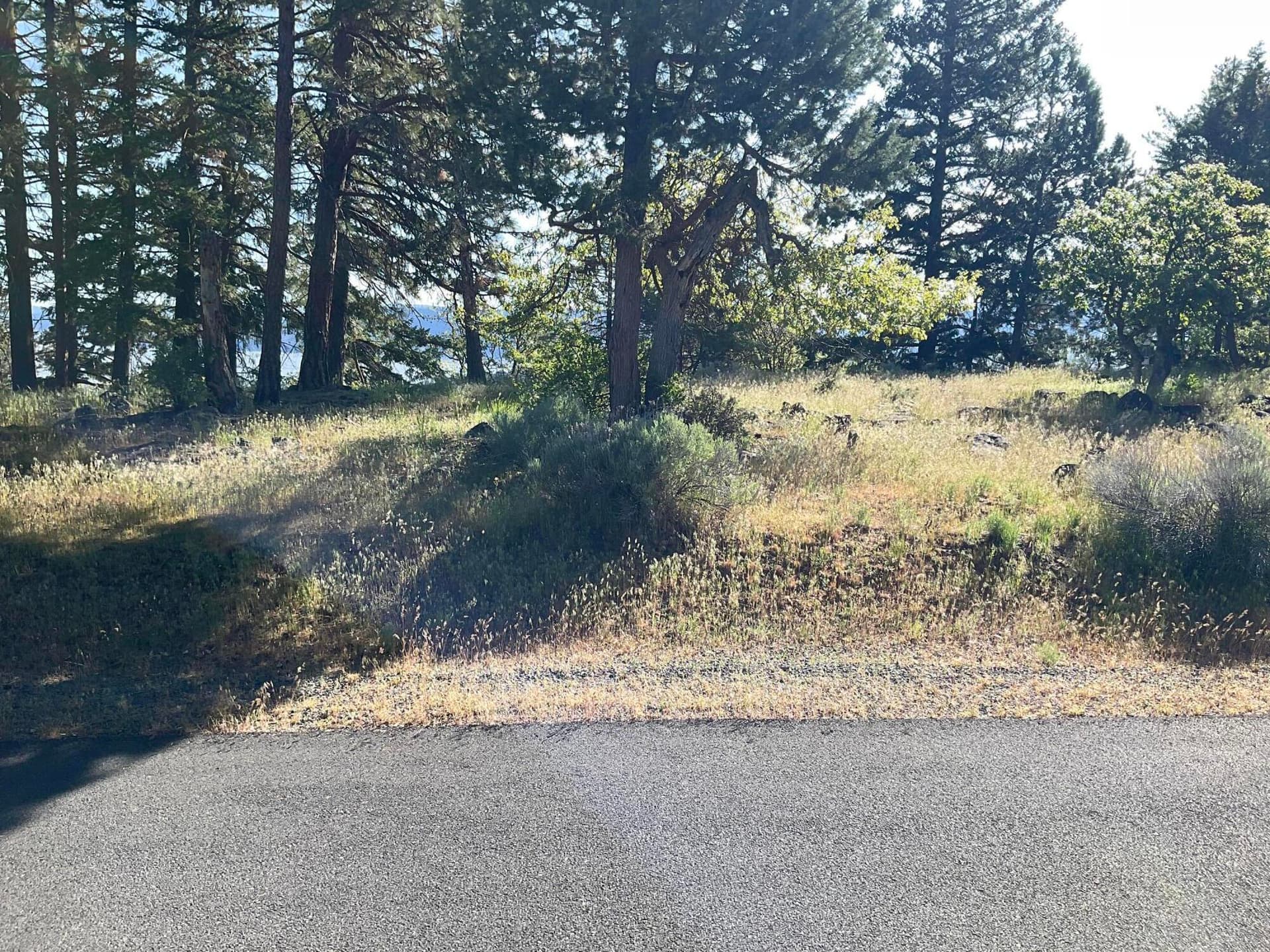 View from Street. Photo 5 of 10, 0 Osprey Lane Unit Lot 195, Klamath Falls, OR 97601