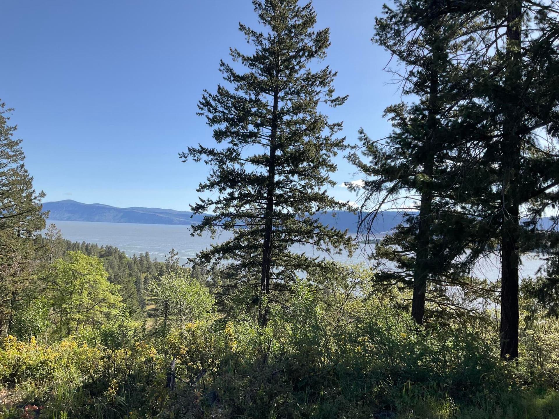 Mountains, Lake and Sky!. Photo 3 of 10, 0 Osprey Lane Unit Lot 195, Klamath Falls, OR 97601