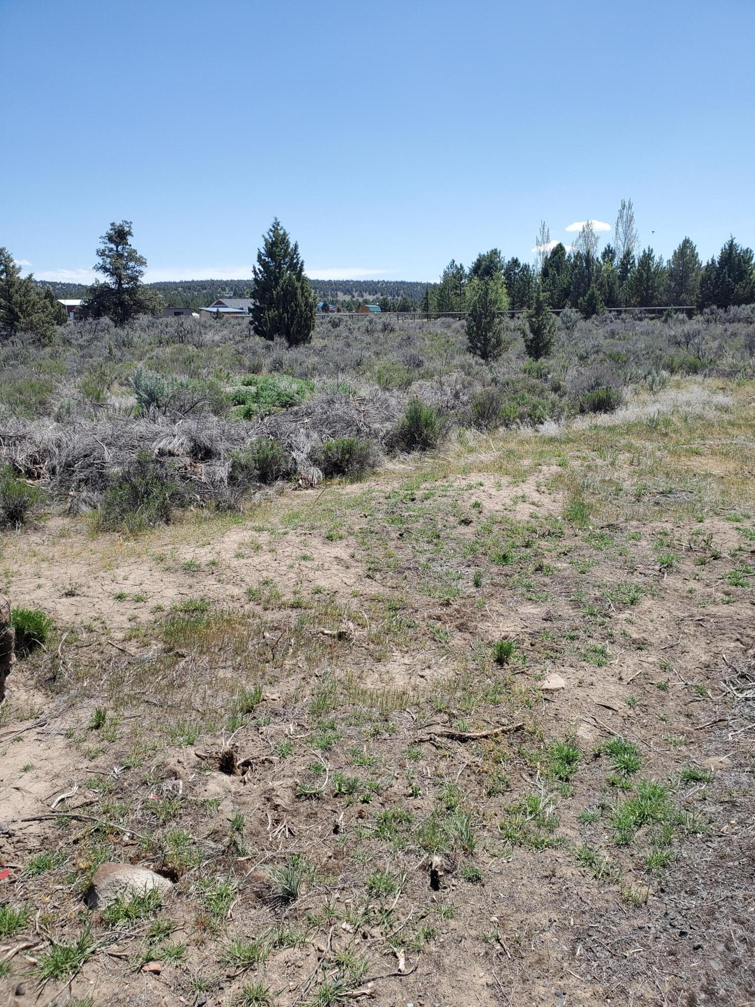 20240513_125809. Photo 2 of 13, Modoc TL800 SE, Prineville, OR 97754