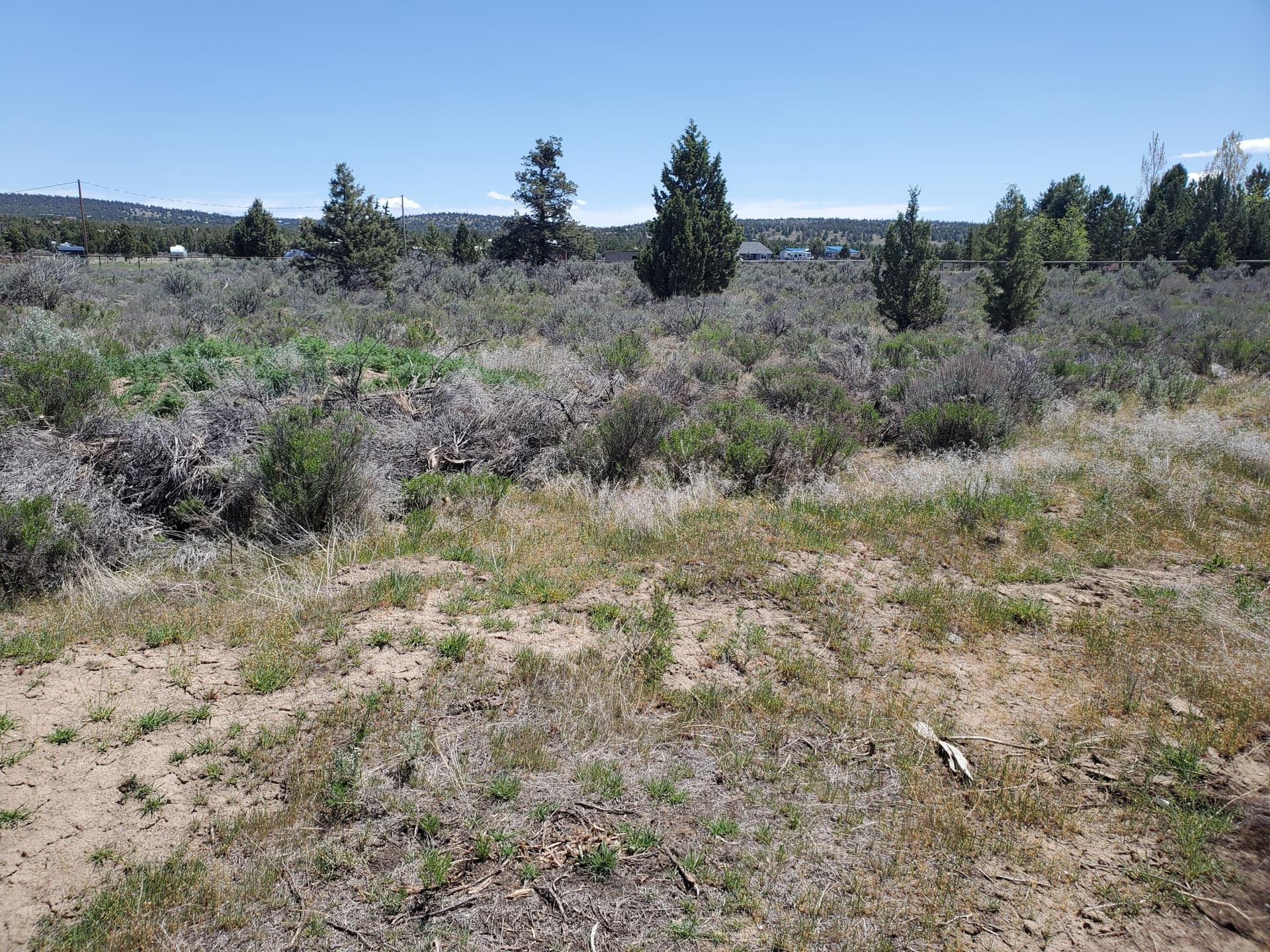 20240513_125706. Photo 1 of 13, Modoc TL800 SE, Prineville, OR 97754
