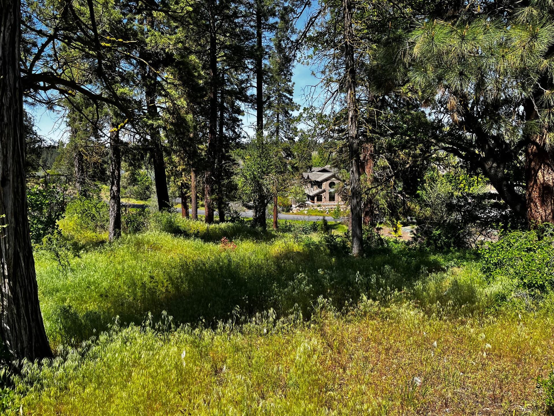 Lot 969 Crossbill. Photo 1 of 4, Crossbill Road Unit Lot 969, Klamath Falls, OR 97601
